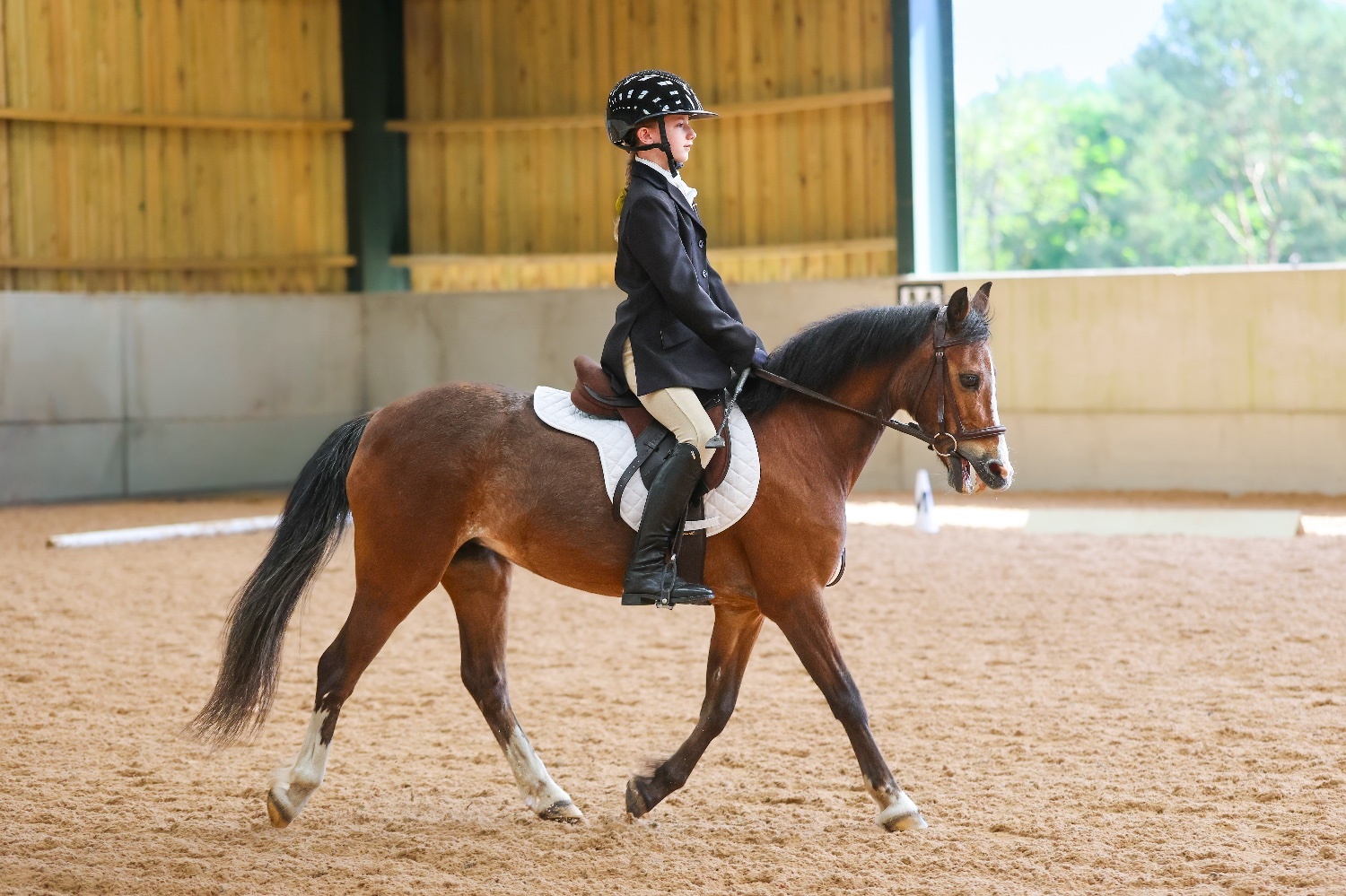 Tideswell "Ruby" Chestnut Mare Lead Rein/First Ridden Pony