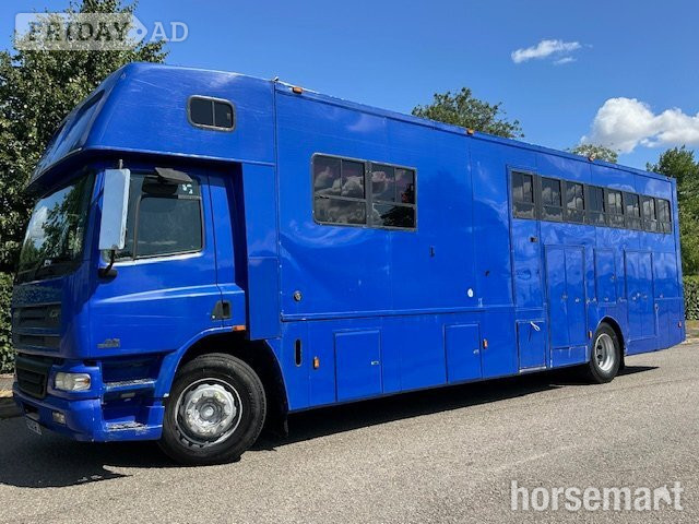 Aaquine  DAF Horsebox in Banbury