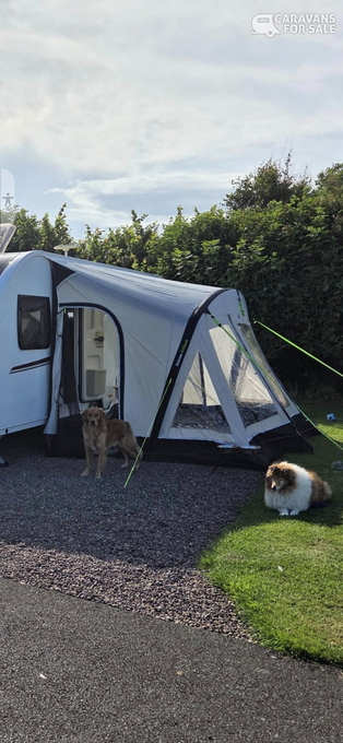 Falcon Airtech awning 390 plus carpet, they are grey.