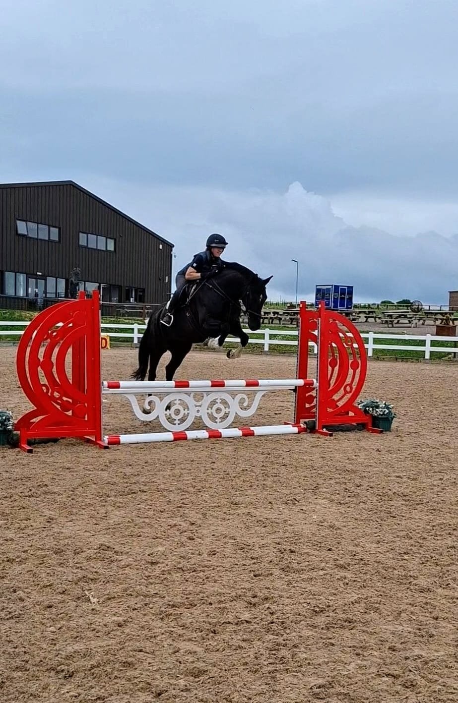 "Milfira" Black Mare All Rounder