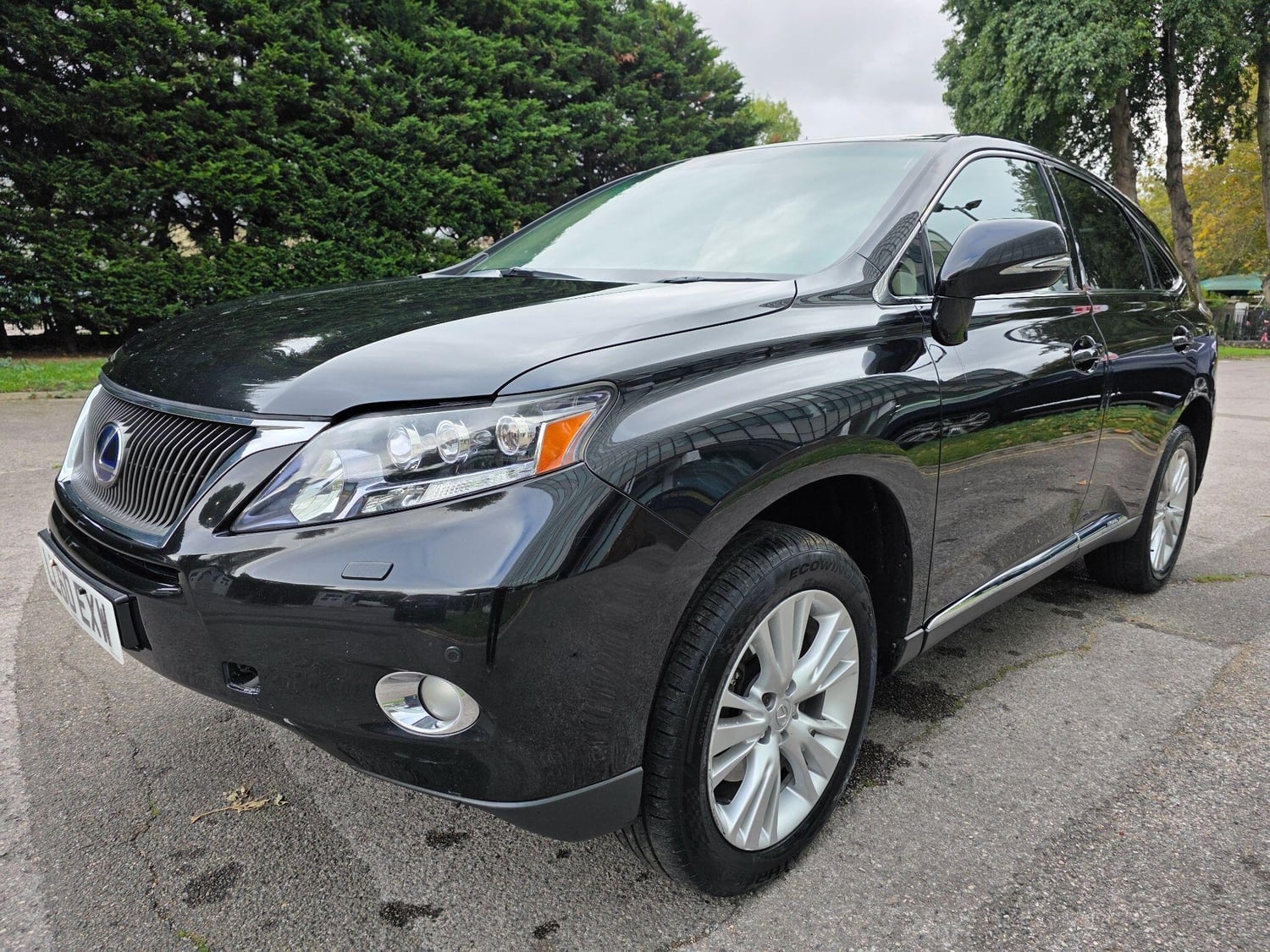 [ berth ]Lexus RX