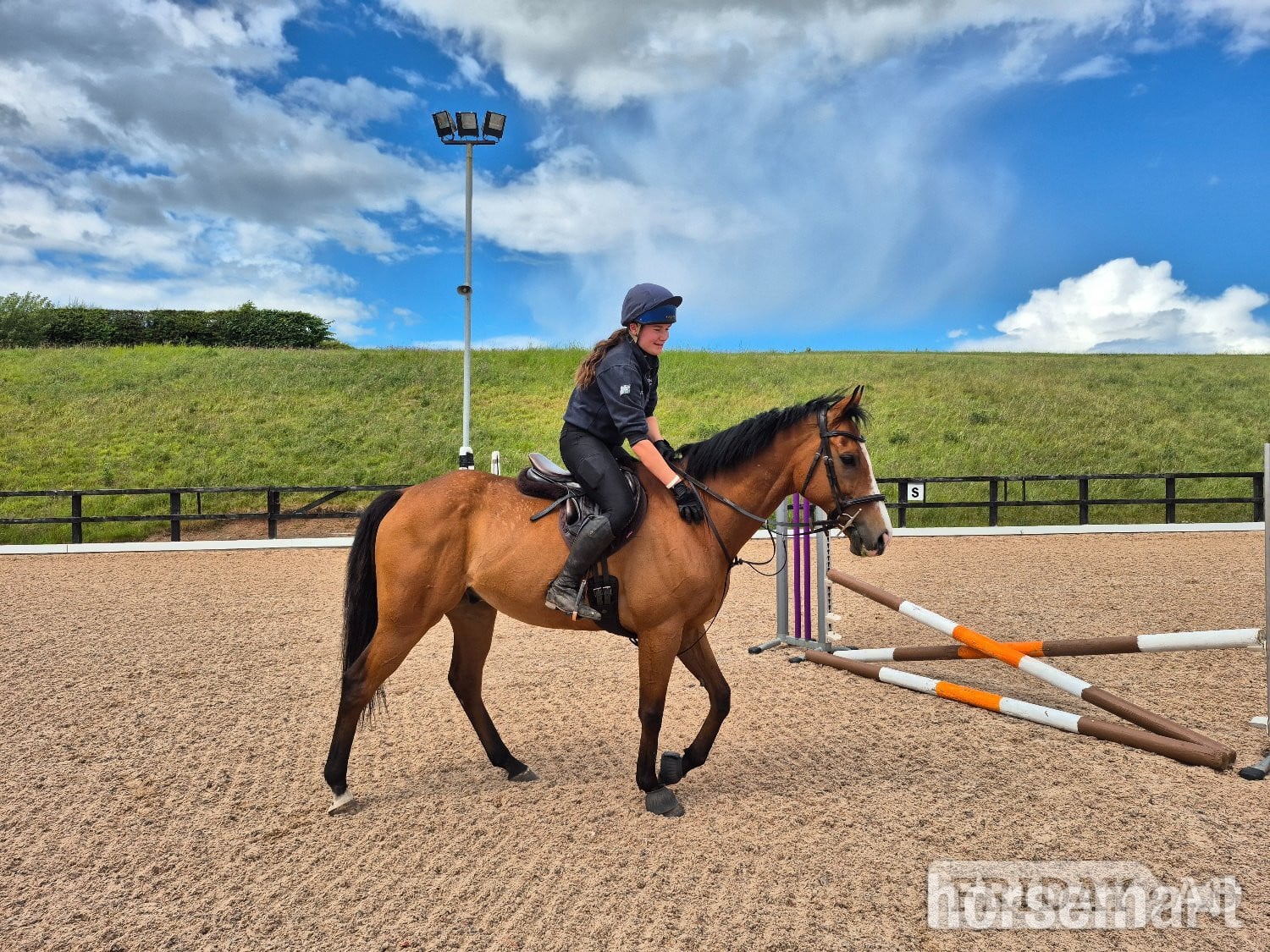 East Linton "Smudge" Bright Bay Gelding Ex Racehorse