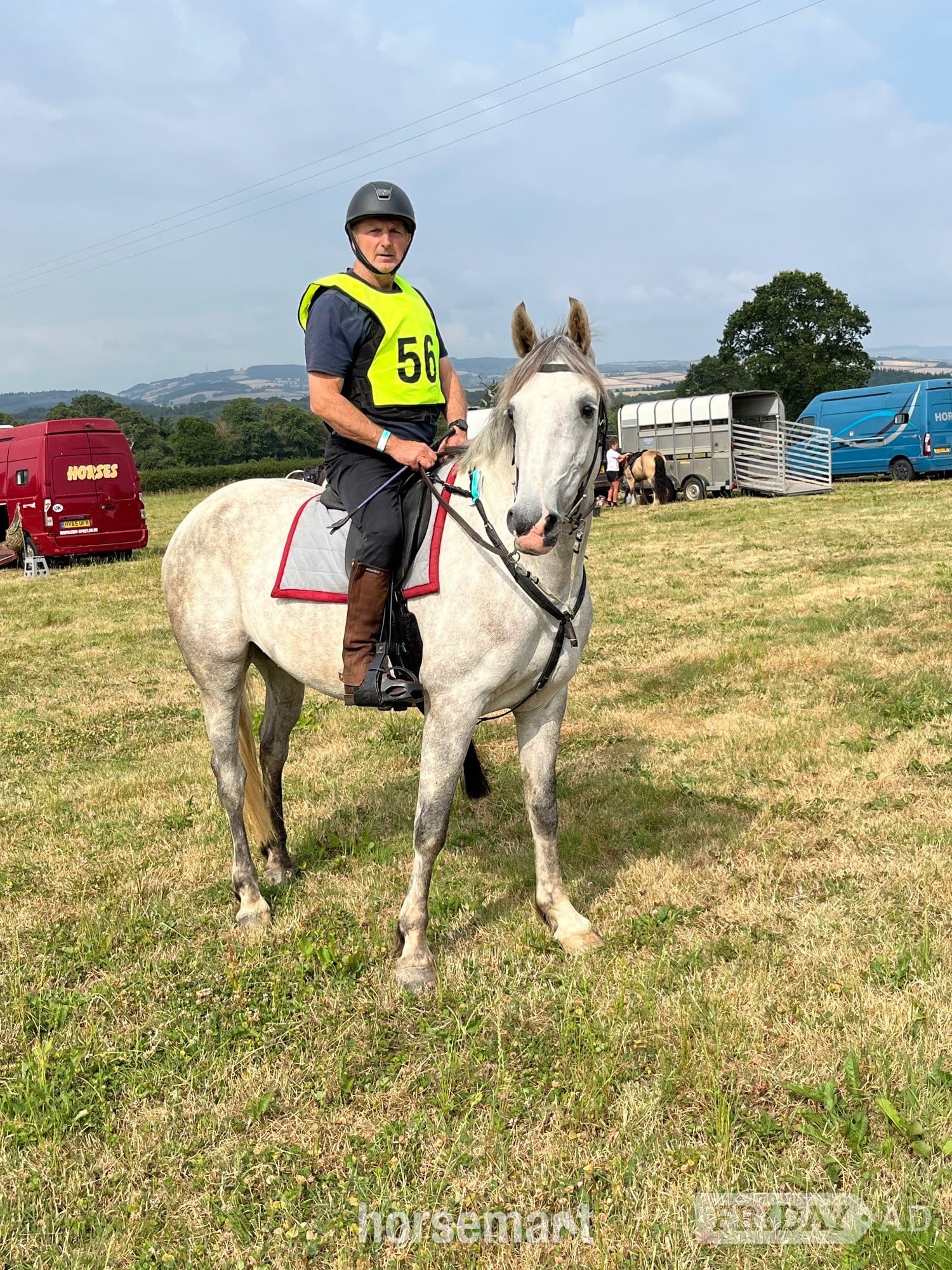 "Massford Girl" Grey Mare All Rounder