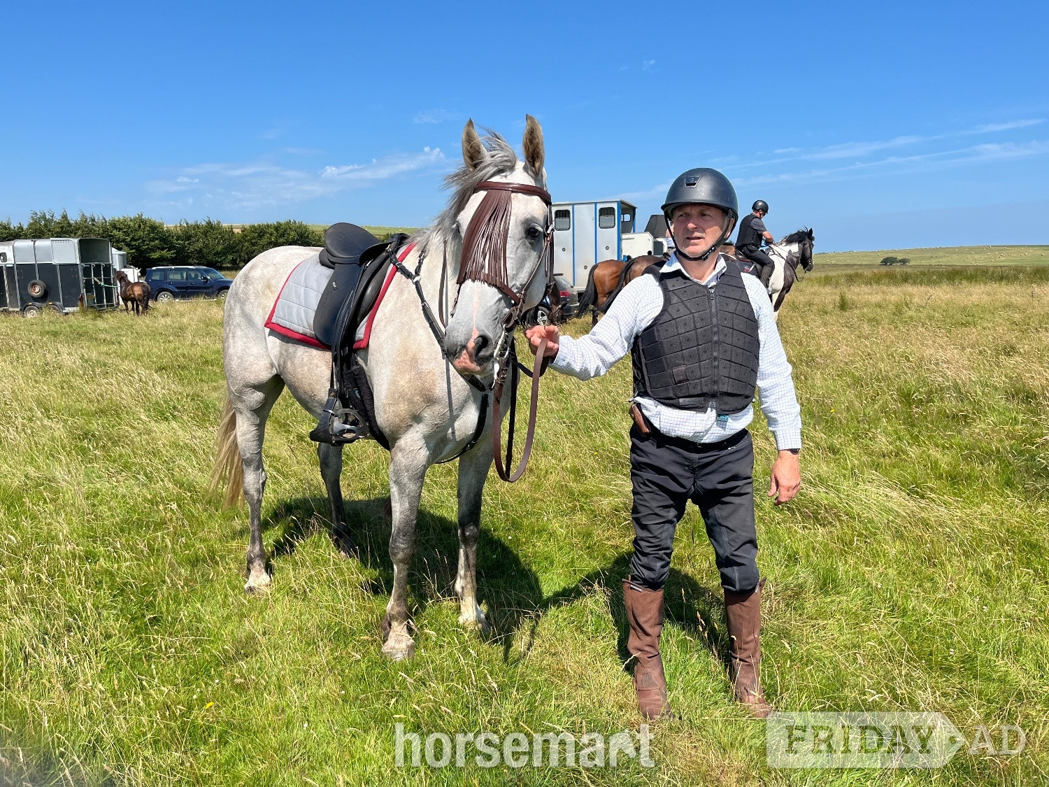 "Massford Girl" Grey Mare All Rounder - Horses in Dulverton