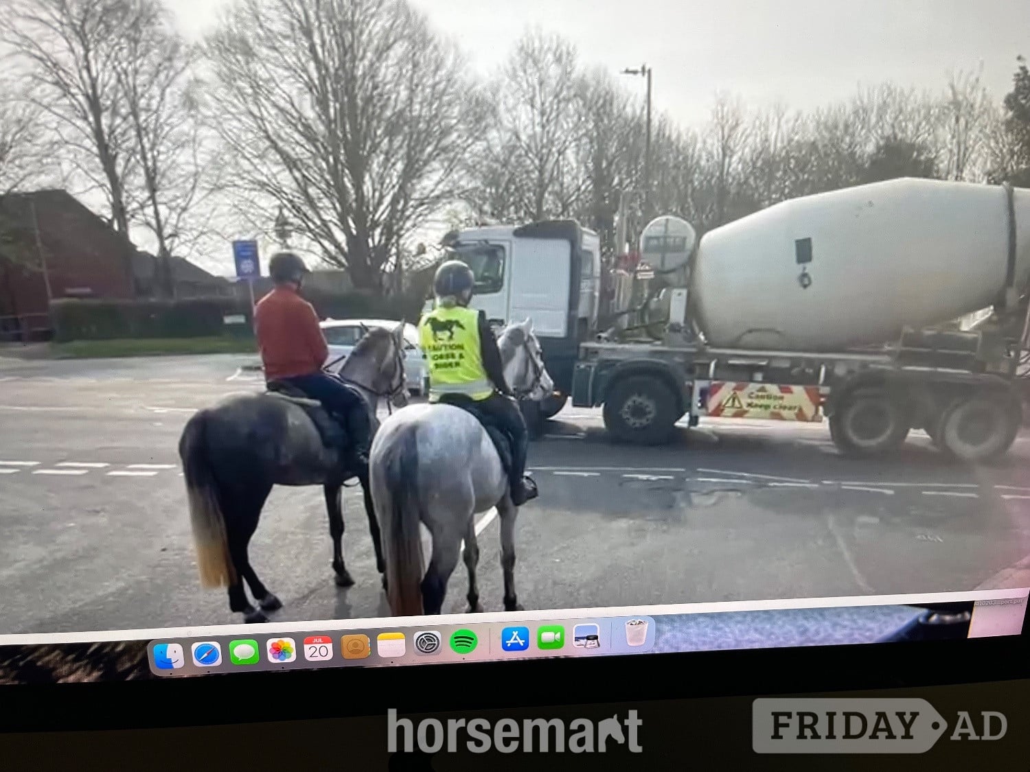"Massford Girl" Grey Mare All Rounder - Horses