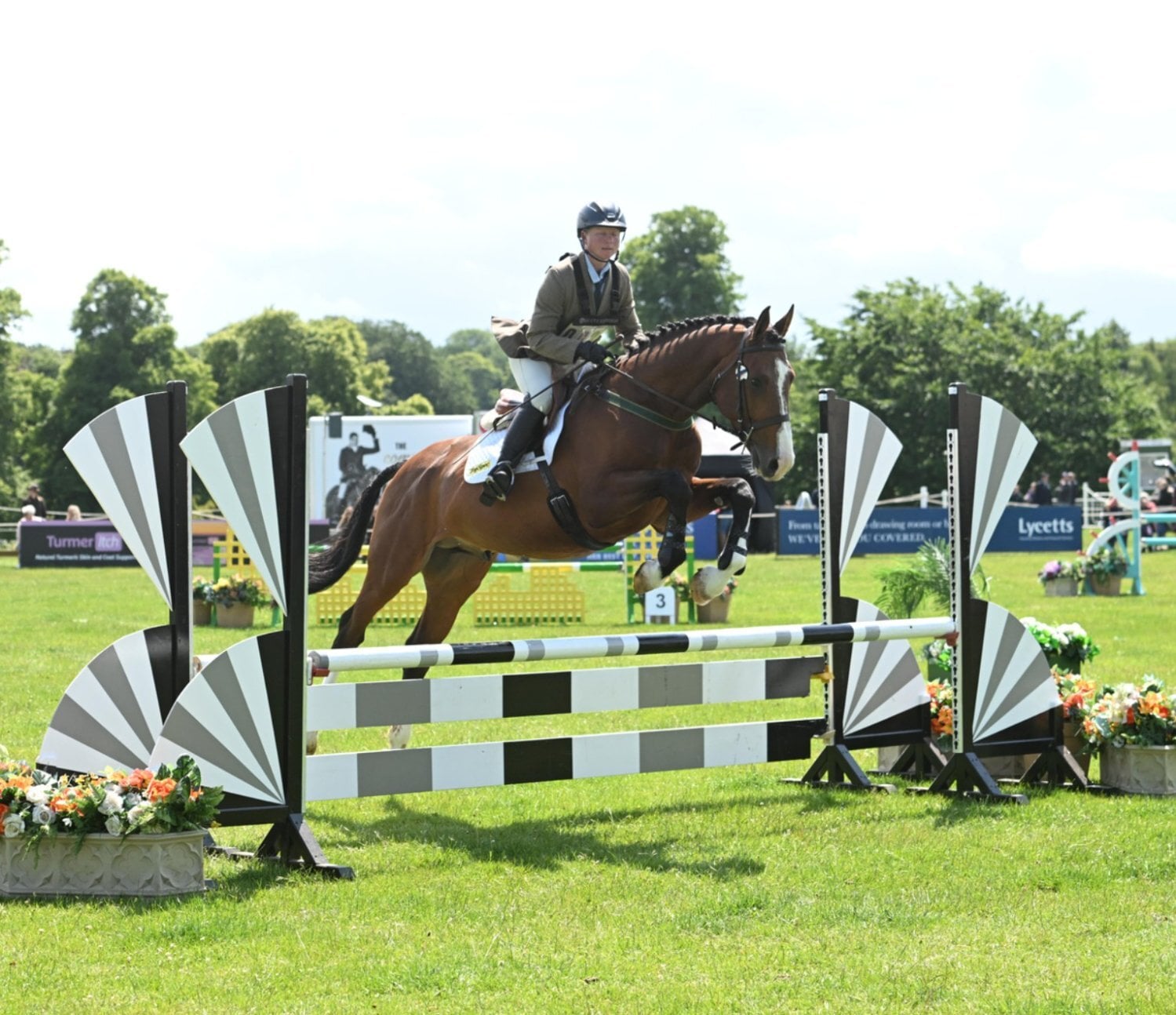 "Koora's Celestial Charm (Lux)" Grey Gelding Young Sport Horse - Horses in York