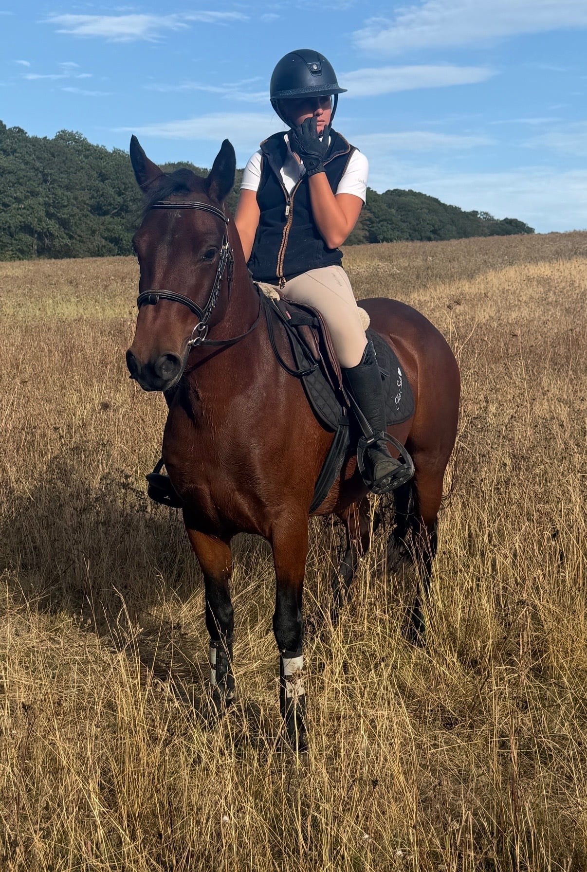 "Lady" Bay Mare All Rounder