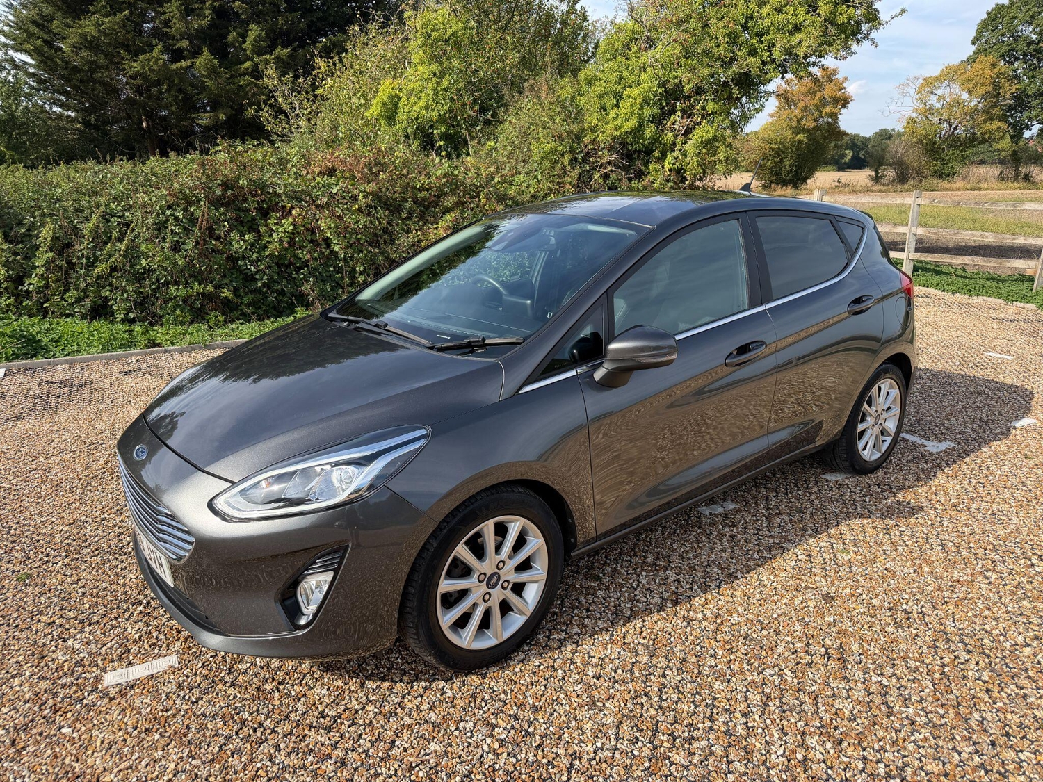 Ford Fiesta 2019 - Cars in Fleet