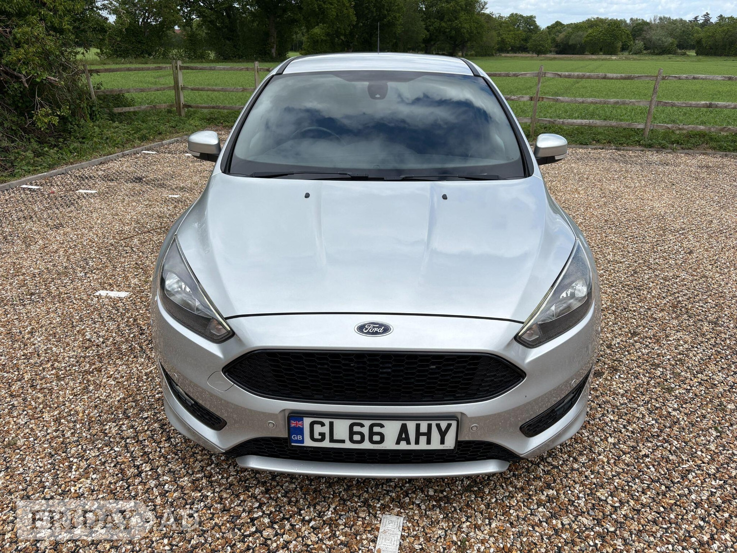 Ford Focus Fleet