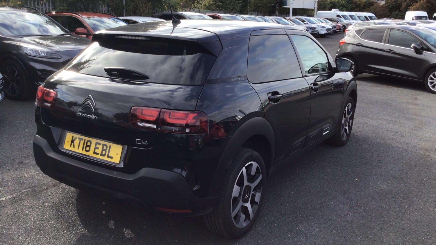 [ berth ]Citroen C4 Cactus