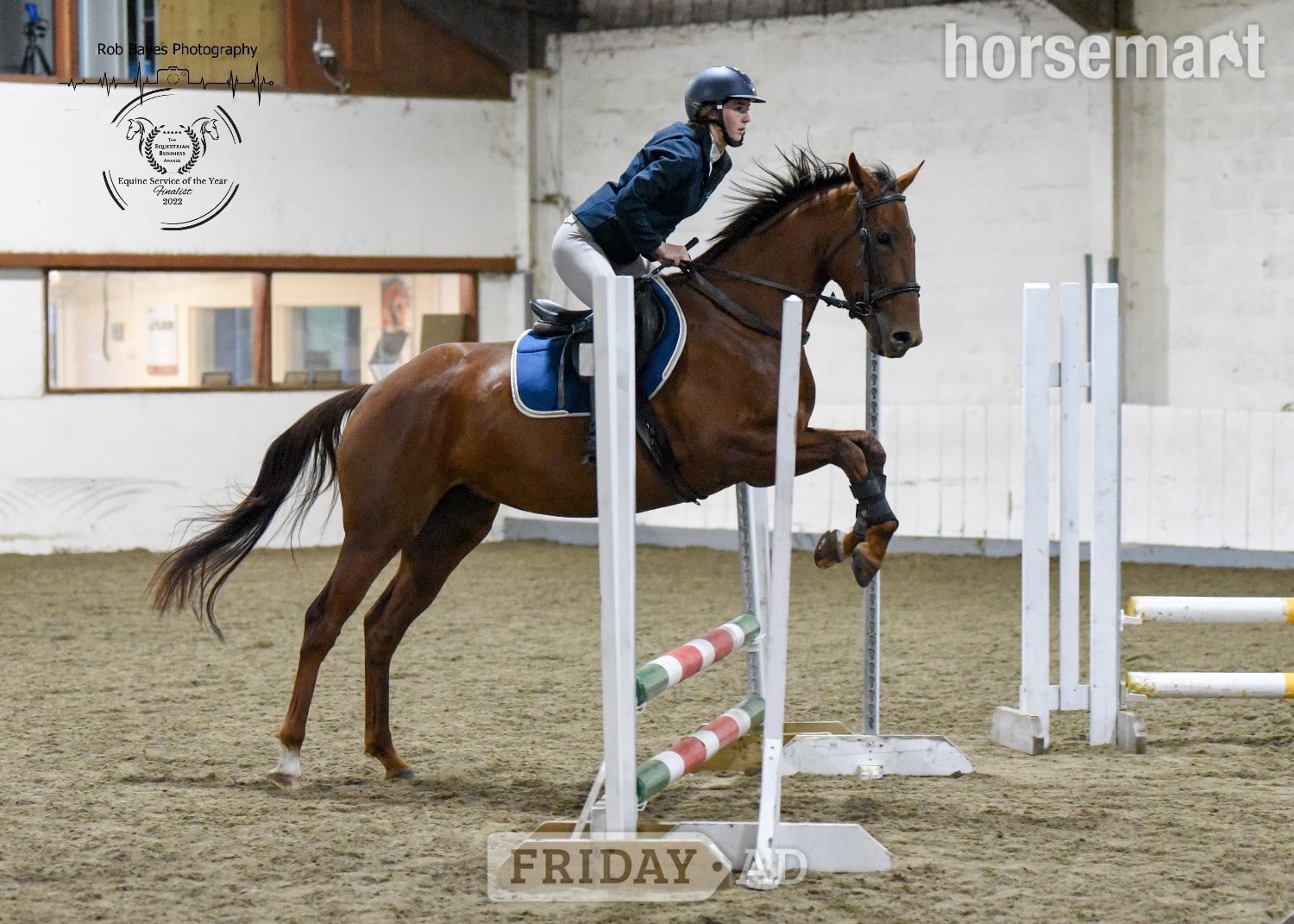 Bridgwater "Olive "  Mare All Rounder