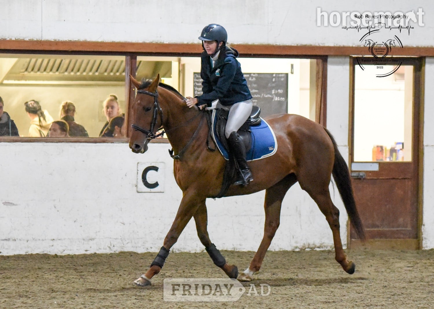 "Olive "  Mare All Rounder - Horses in Bridgwater