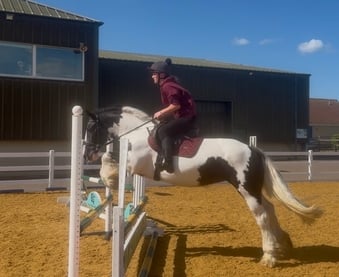 "Cherrie " Piebald Mare All Rounder