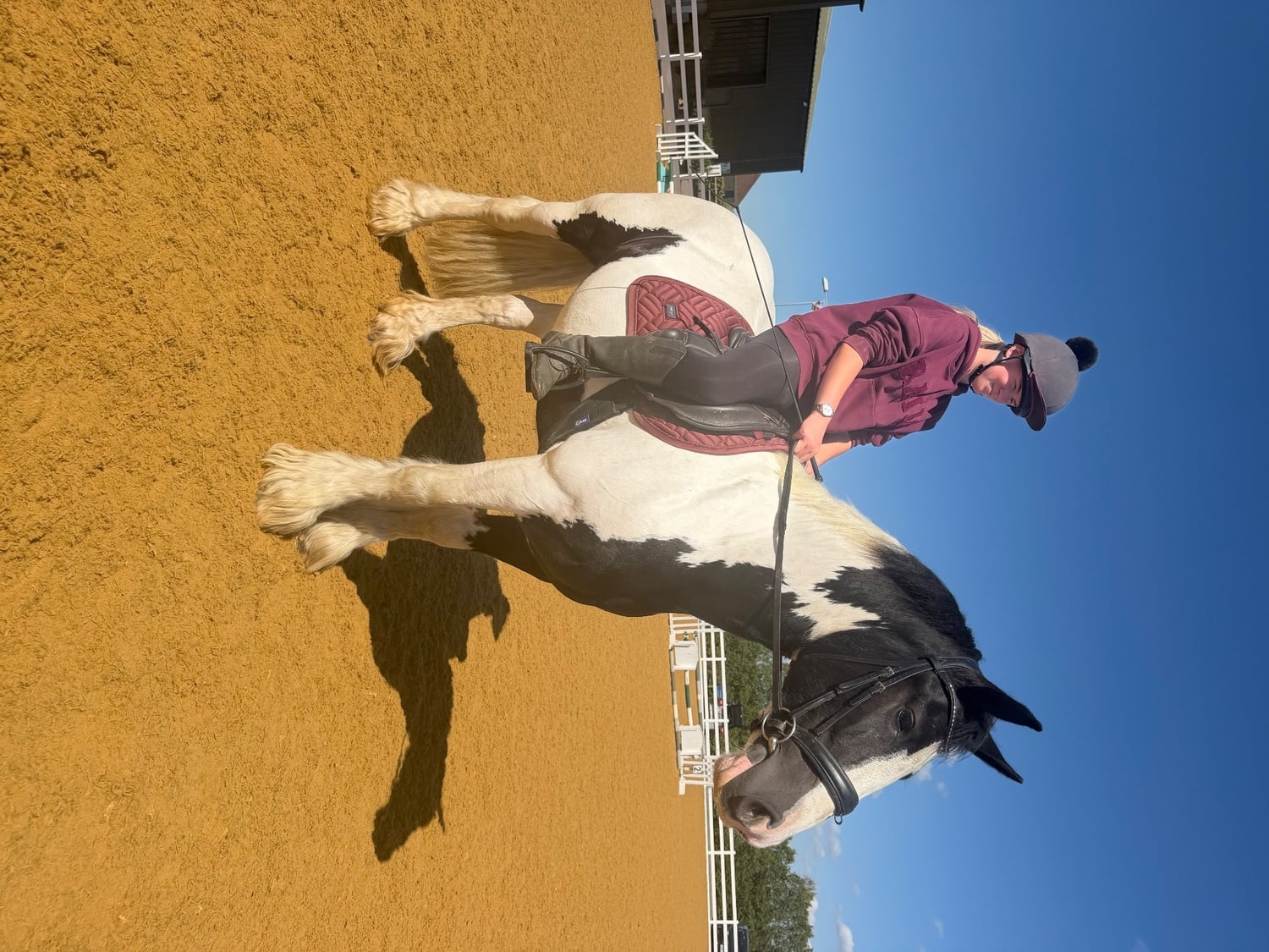 "Cherrie " Piebald Mare All Rounder