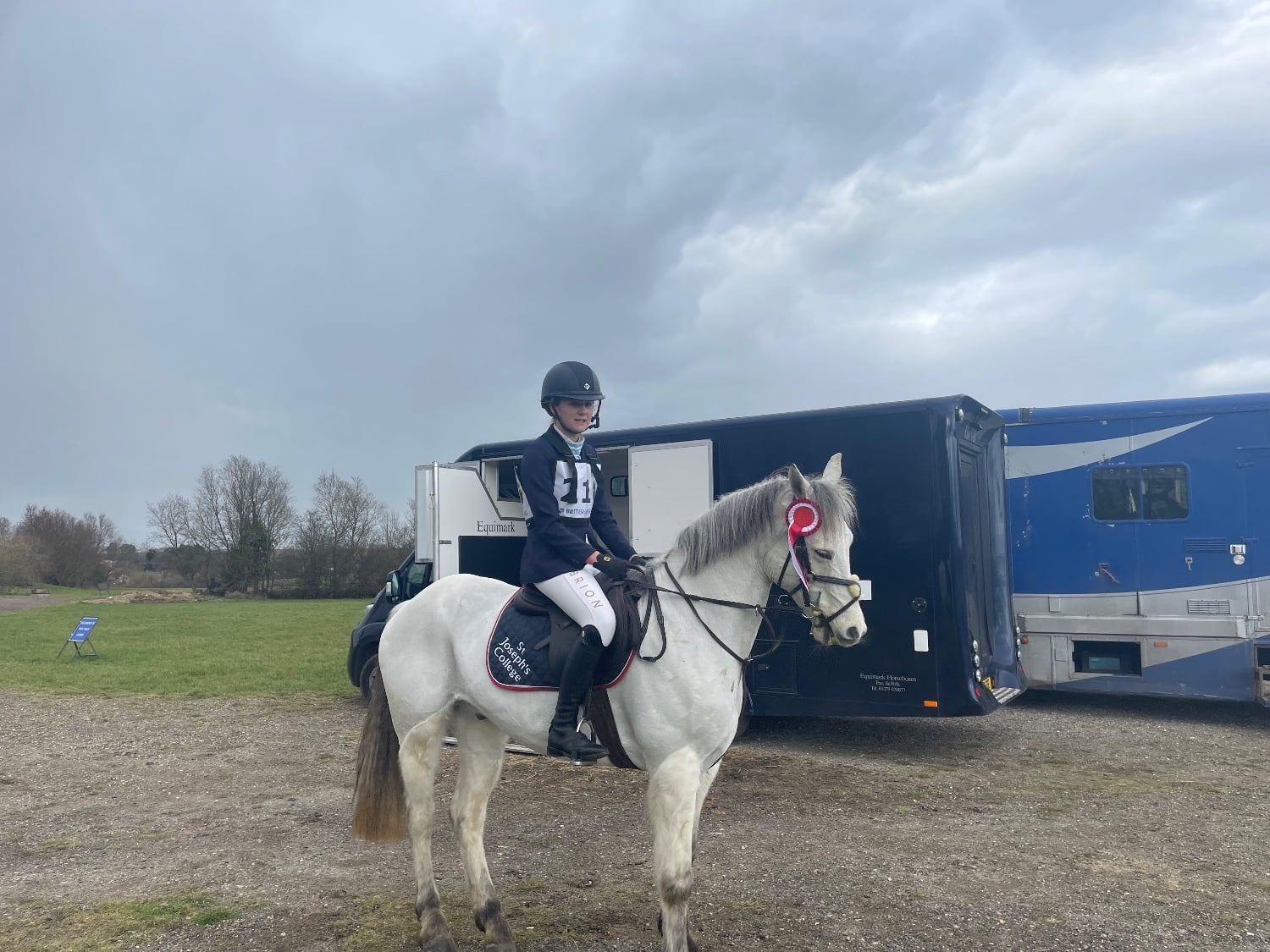 "Prince Mac" Grey Gelding Show Jumper