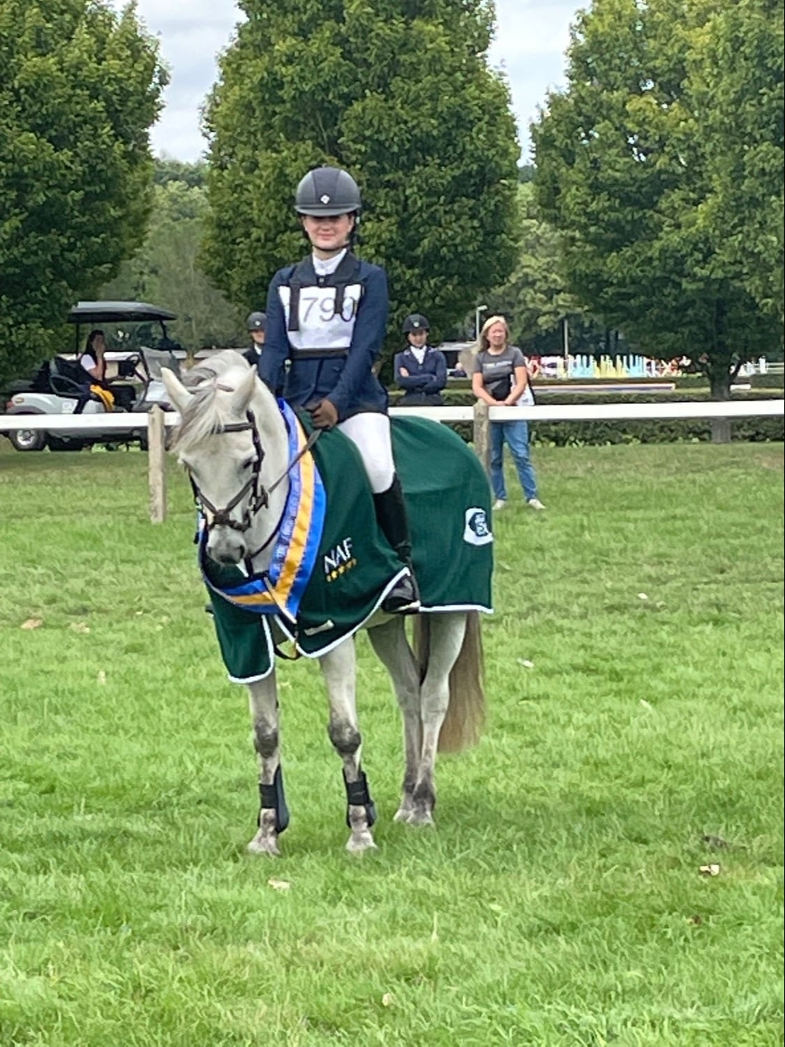 Colchester "Prince Mac" Grey Gelding Show Jumper