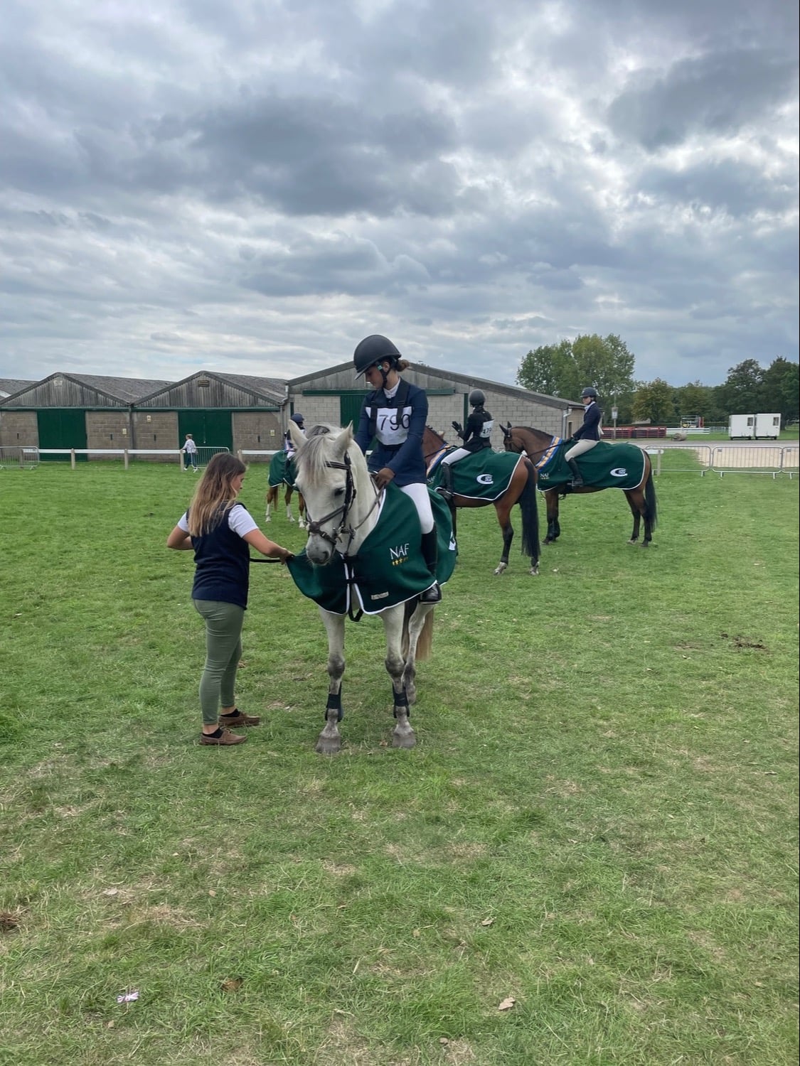 "Prince Mac" Grey Gelding Show Jumper - Horses in Colchester