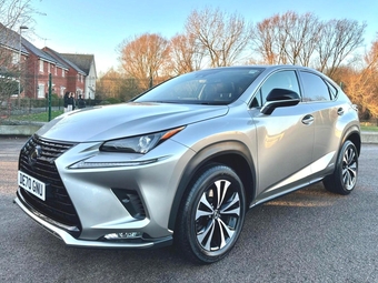 Lexus NX 2020