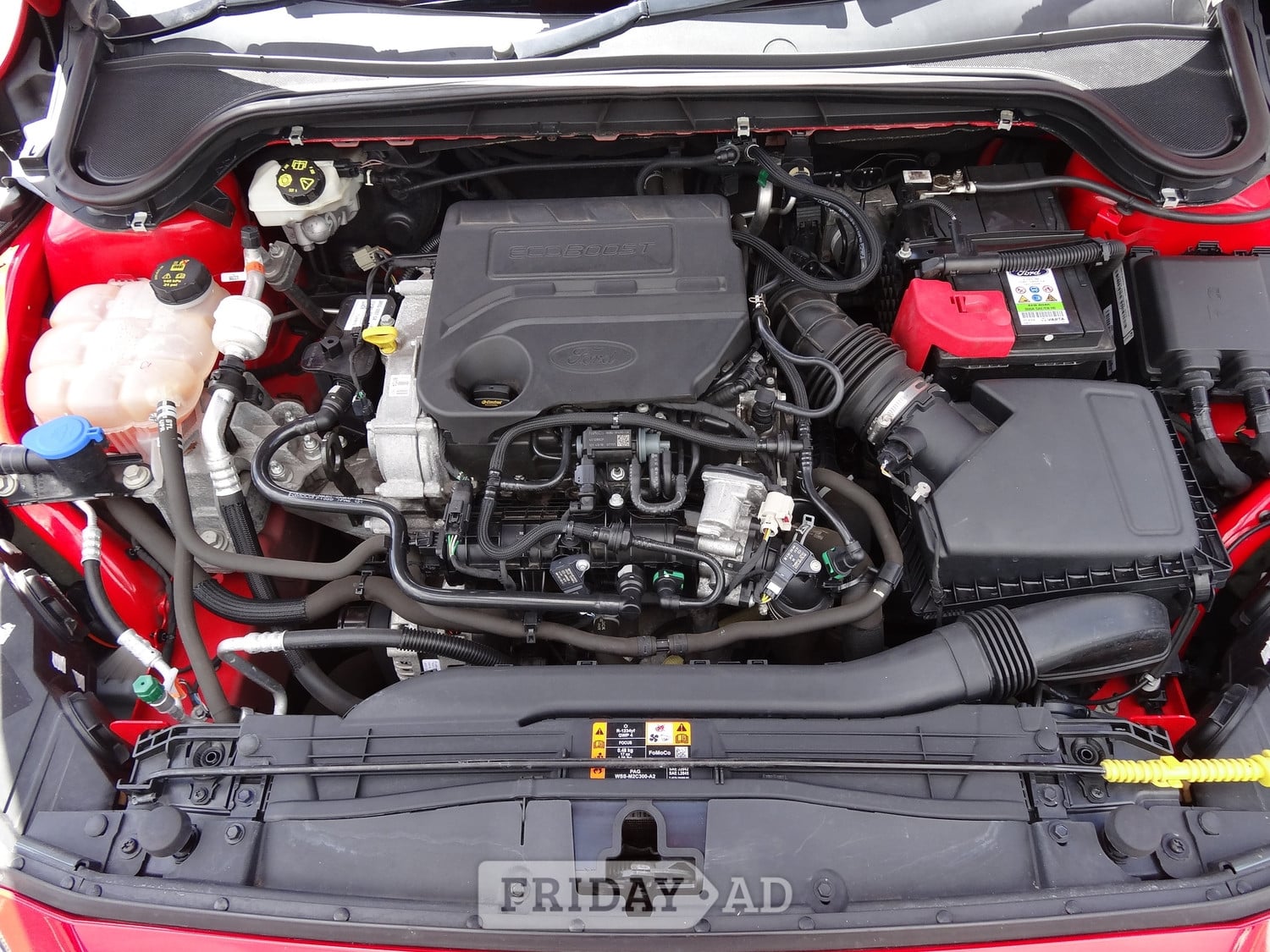[ berth ]Ford Focus