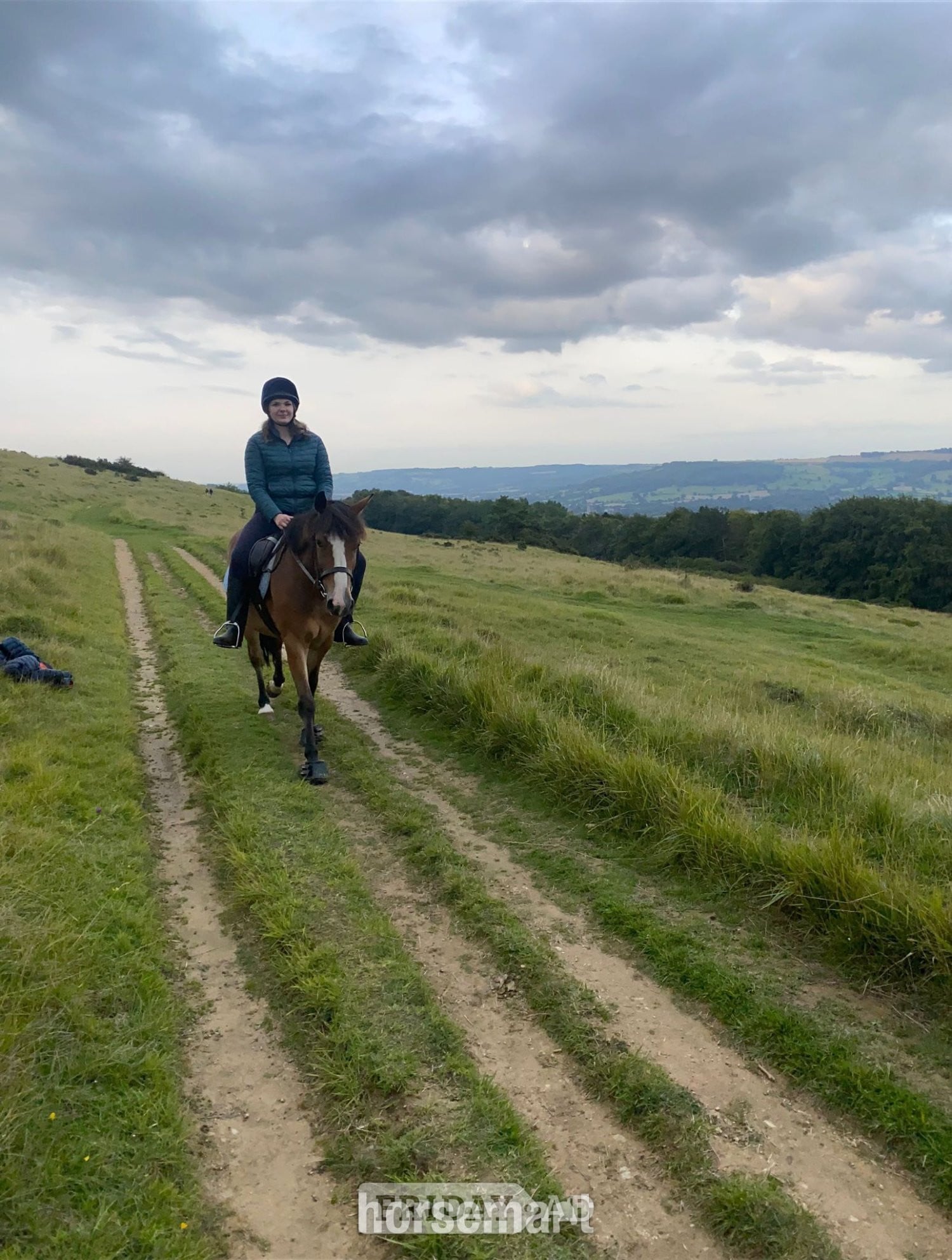 Winchcombe "Tim" Bay Gelding Project Horse