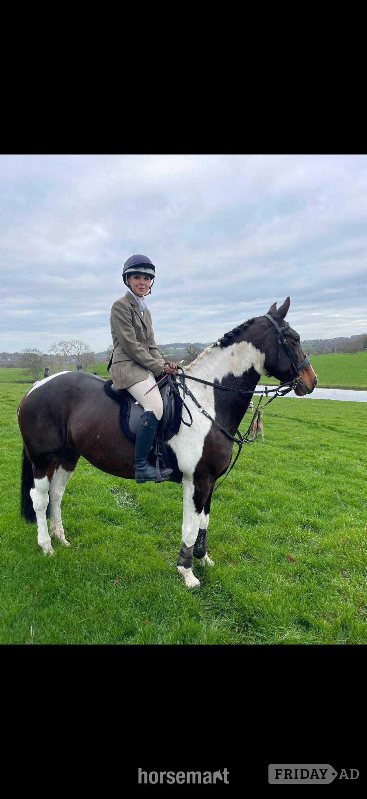 "Flash " Coloured Mare All Rounder