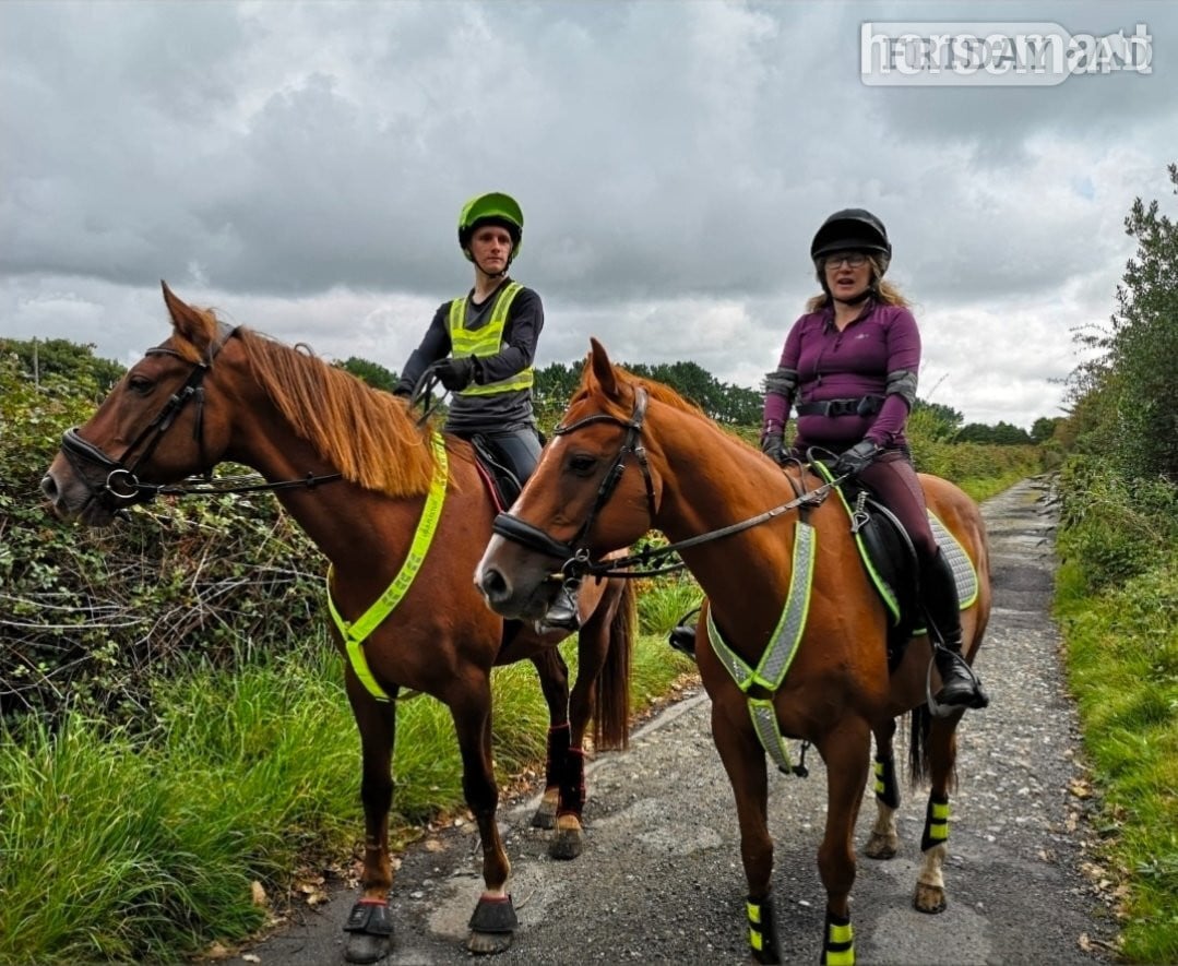 Carn Brea "Justin" Chestnut Gelding All Rounder