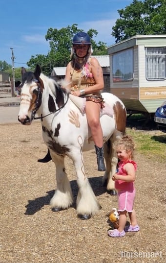"Rocky " Skewbald Gelding All Rounder
