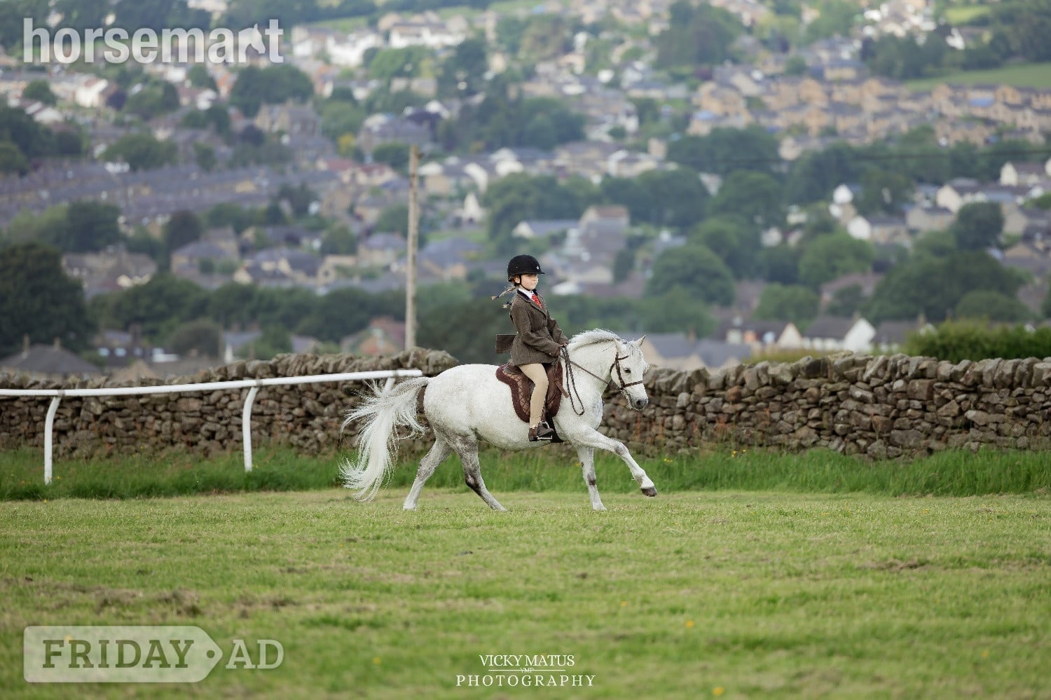 "Tank" Fleabitten Grey Gelding All Rounder in Bradford