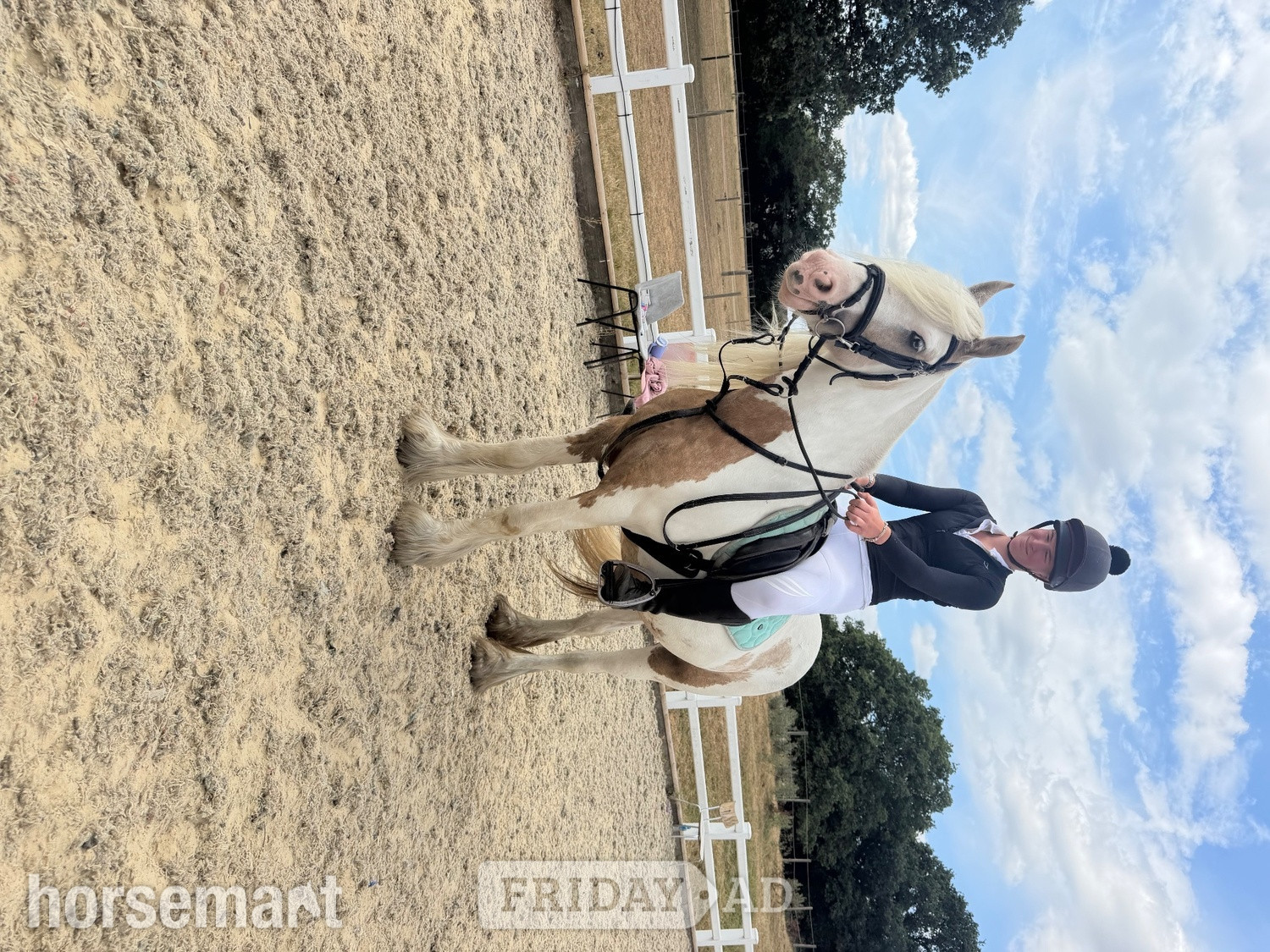 "Apricot " Lemon &amp; White Mare All Rounder - Horses