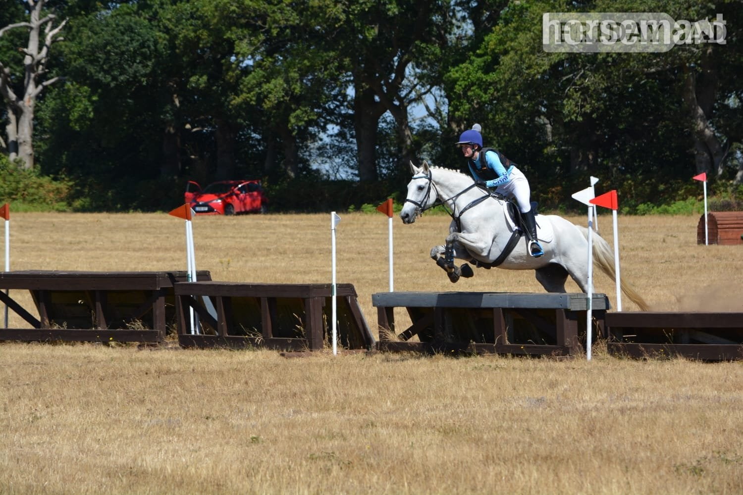 16hh Connemara x ISH Mare for 6‑Day Loan 
