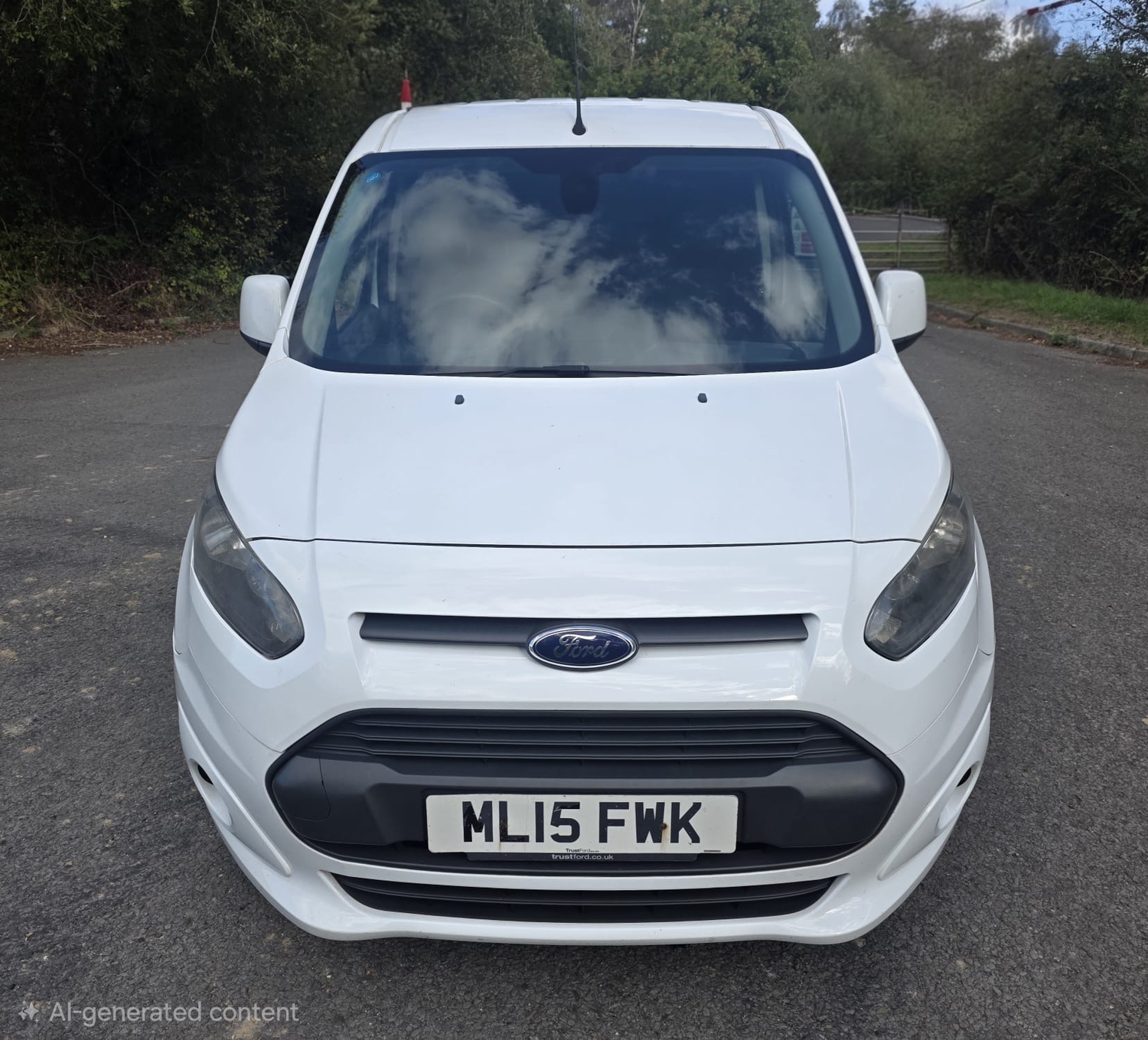 [ berth ]Ford Transit Connect