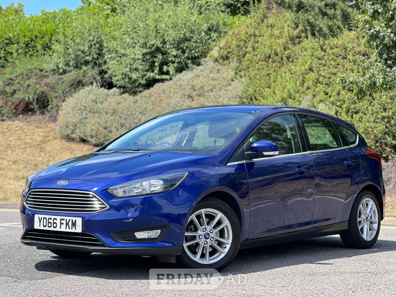 [ berth ]Ford Focus