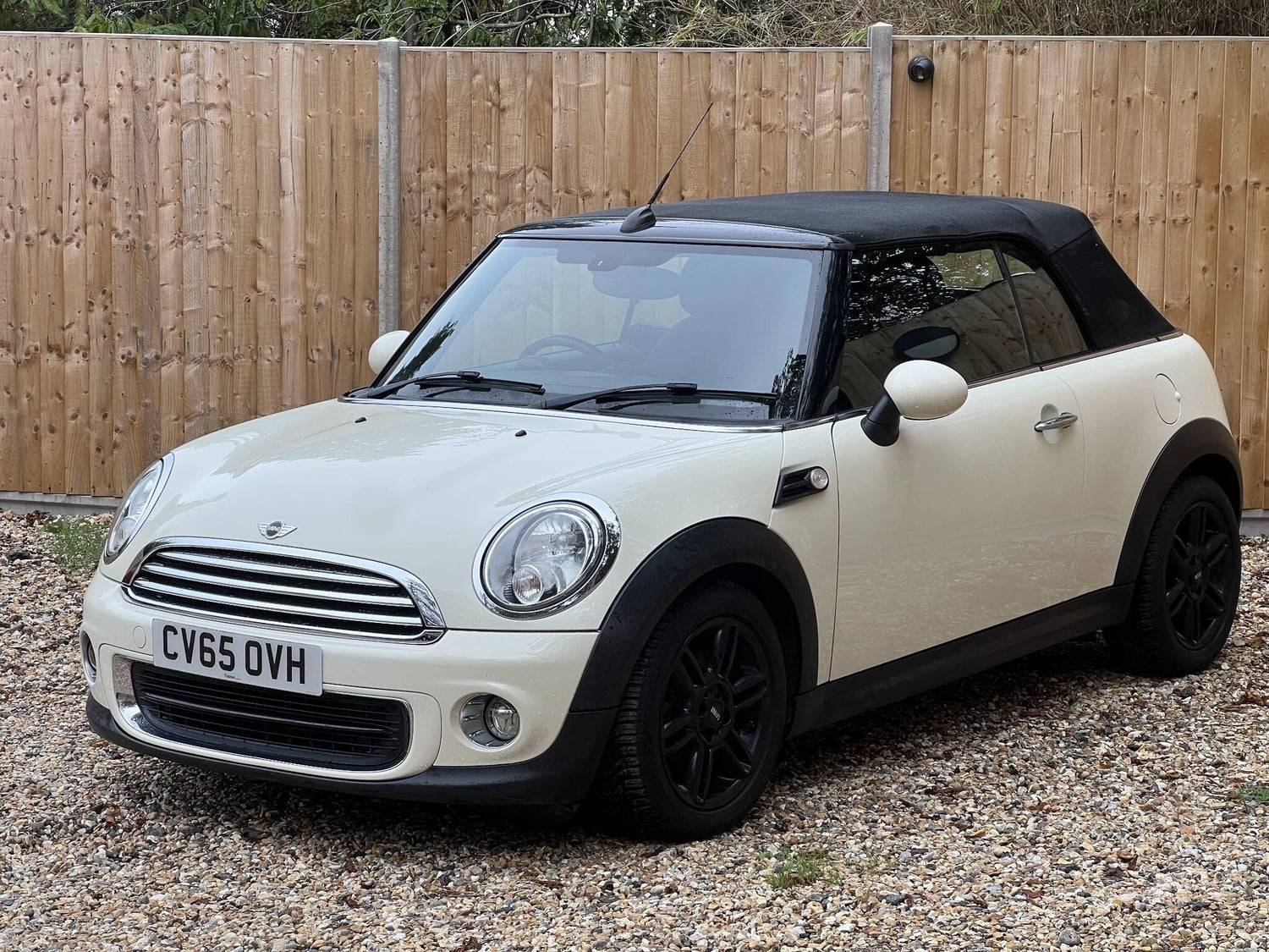 [ berth ]Mini Convertible