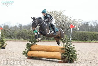"Aston In De Groove" Skewbald Gelding Riding Club Horse