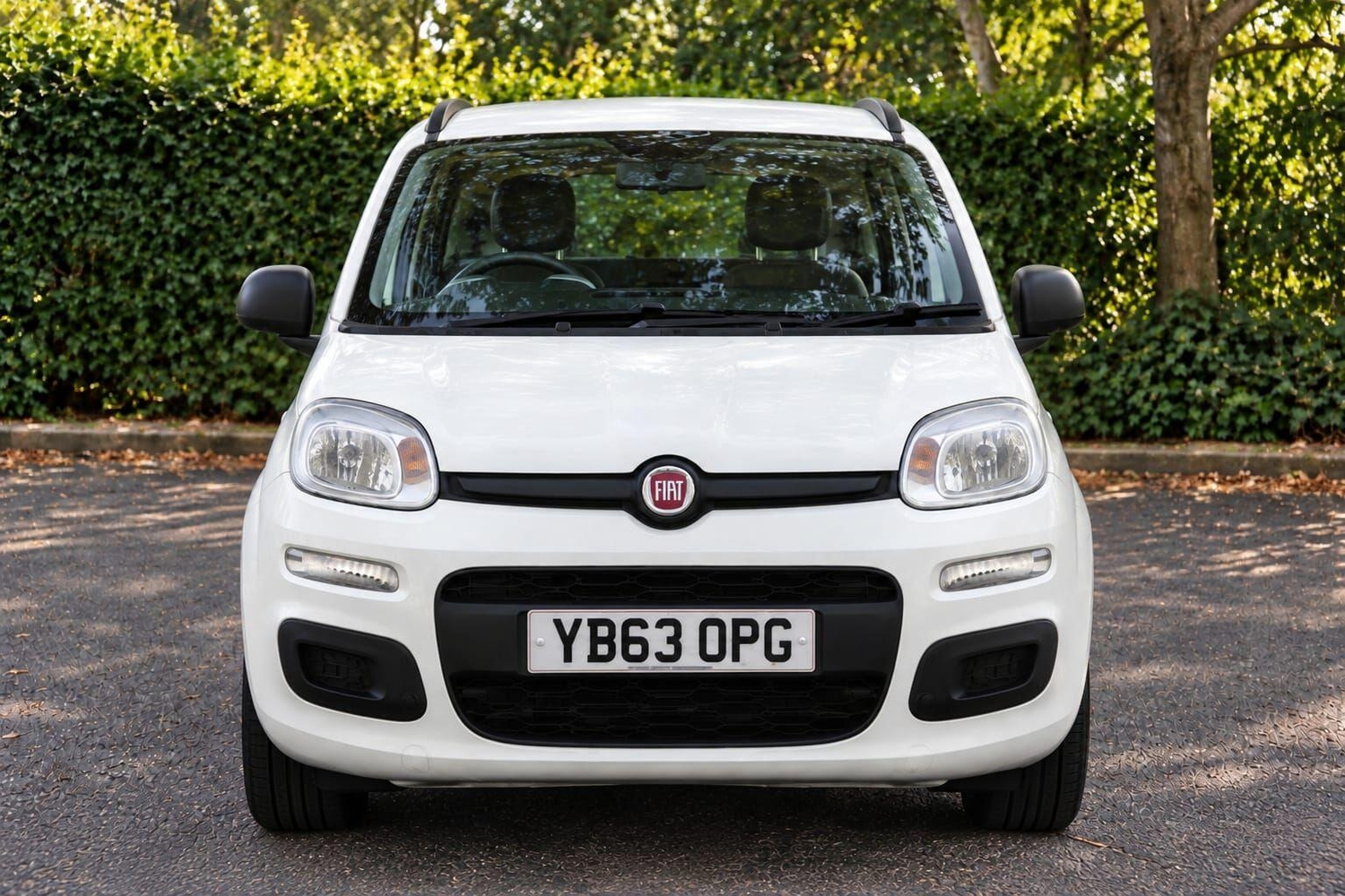 Fiat Panda Ashford