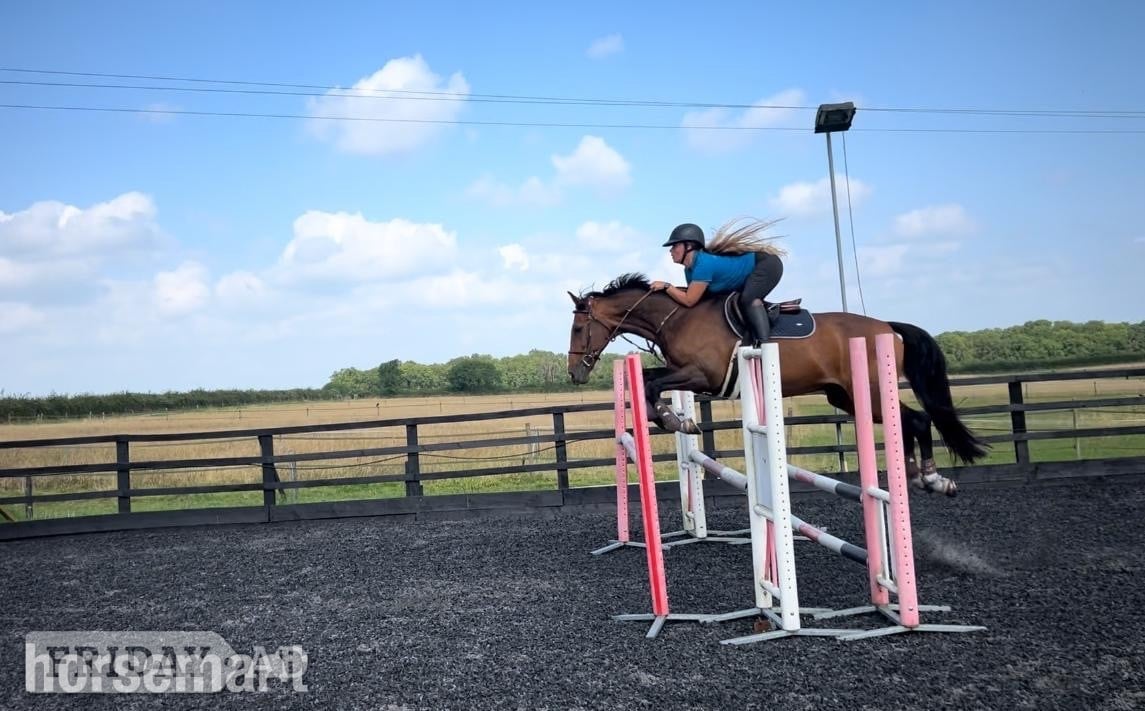 "Rory " Bay Gelding Schoolmaster