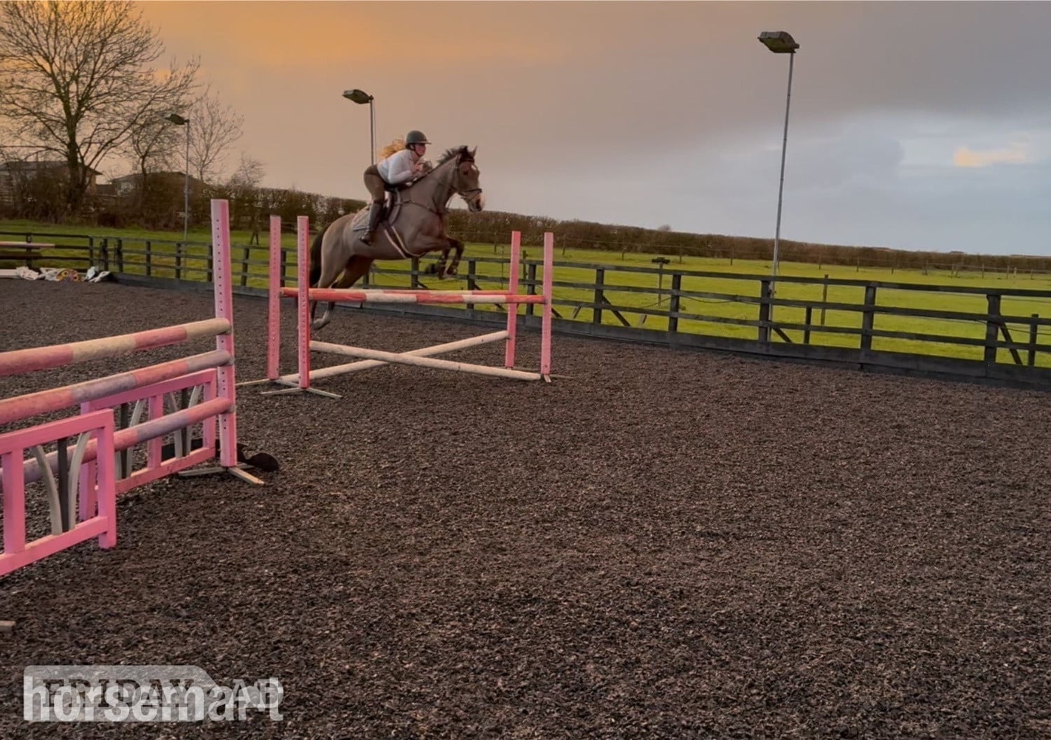 Somerton "Rory " Bay Gelding Schoolmaster