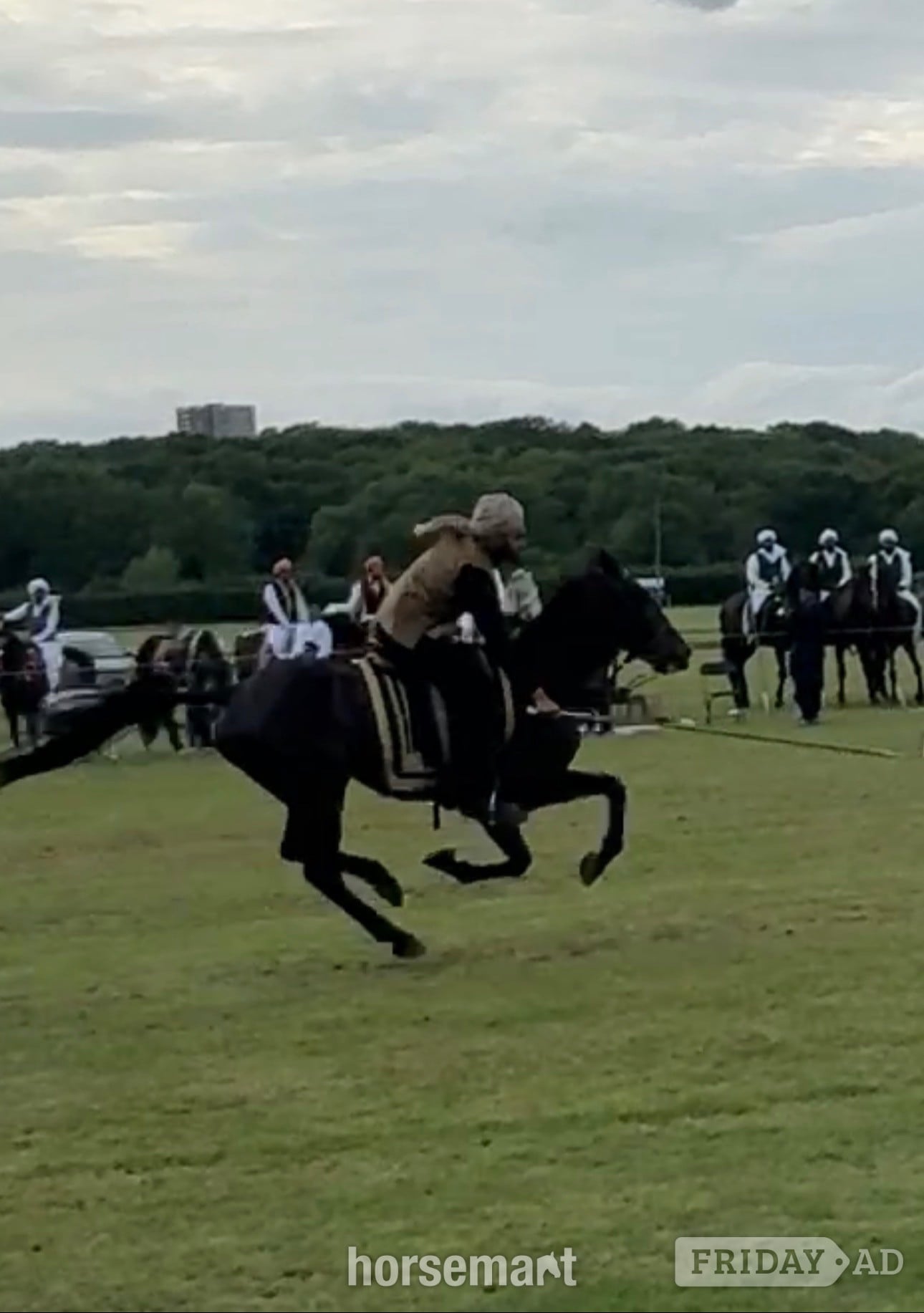 "Lakeside ronaldo “Happy Hacker”" Bay Gelding All Rounder in Oswaldtwistle