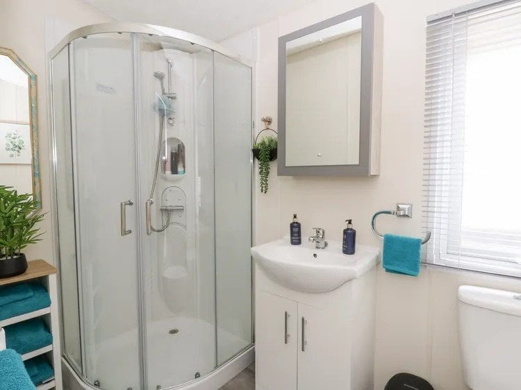 Lodge Delta Langford 2020. Sited at Woodlands near New Quay Wales