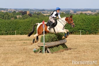 "Spirit" Skewbald Gelding All Rounder