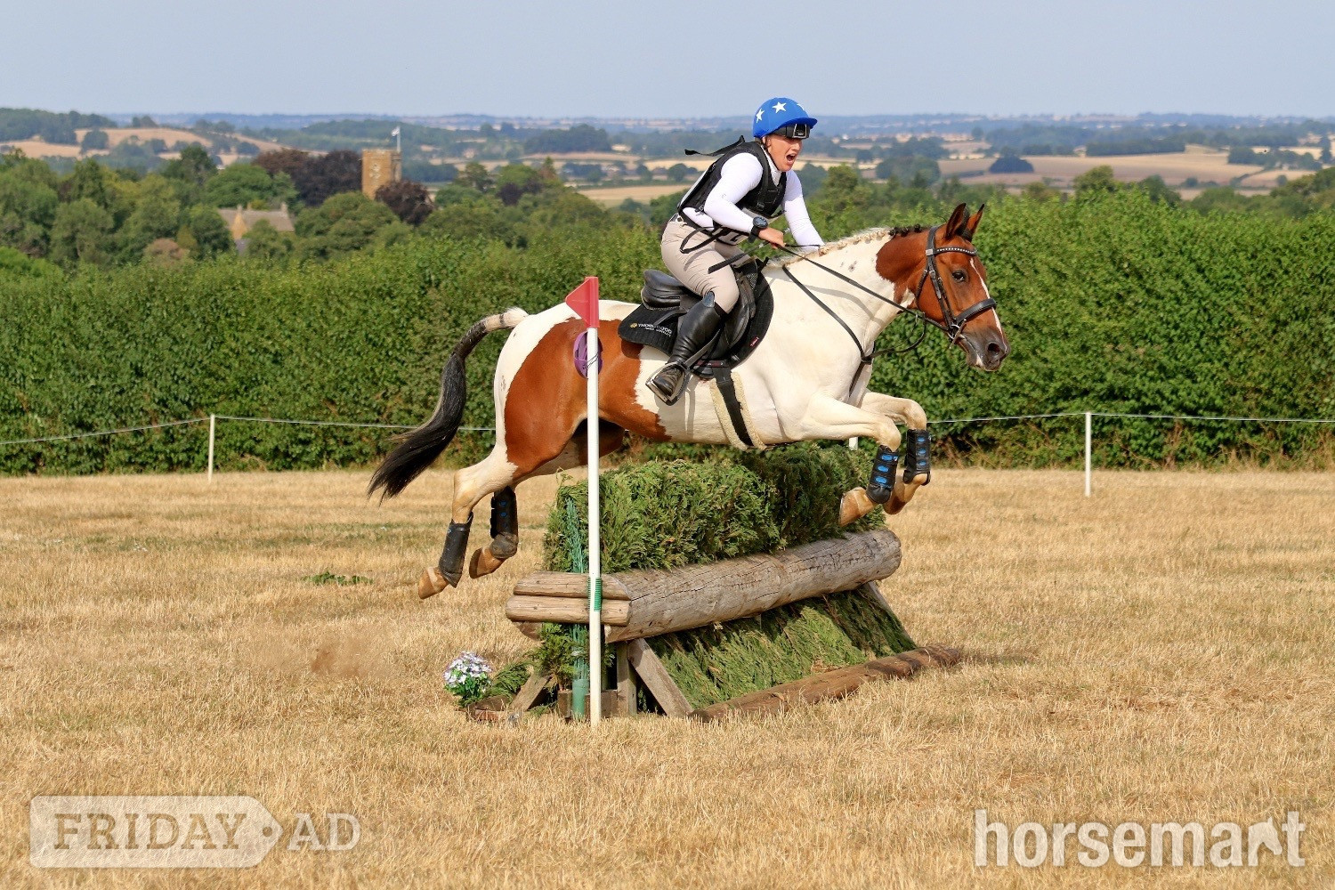 "Spirit" Skewbald Gelding All Rounder in Colchester