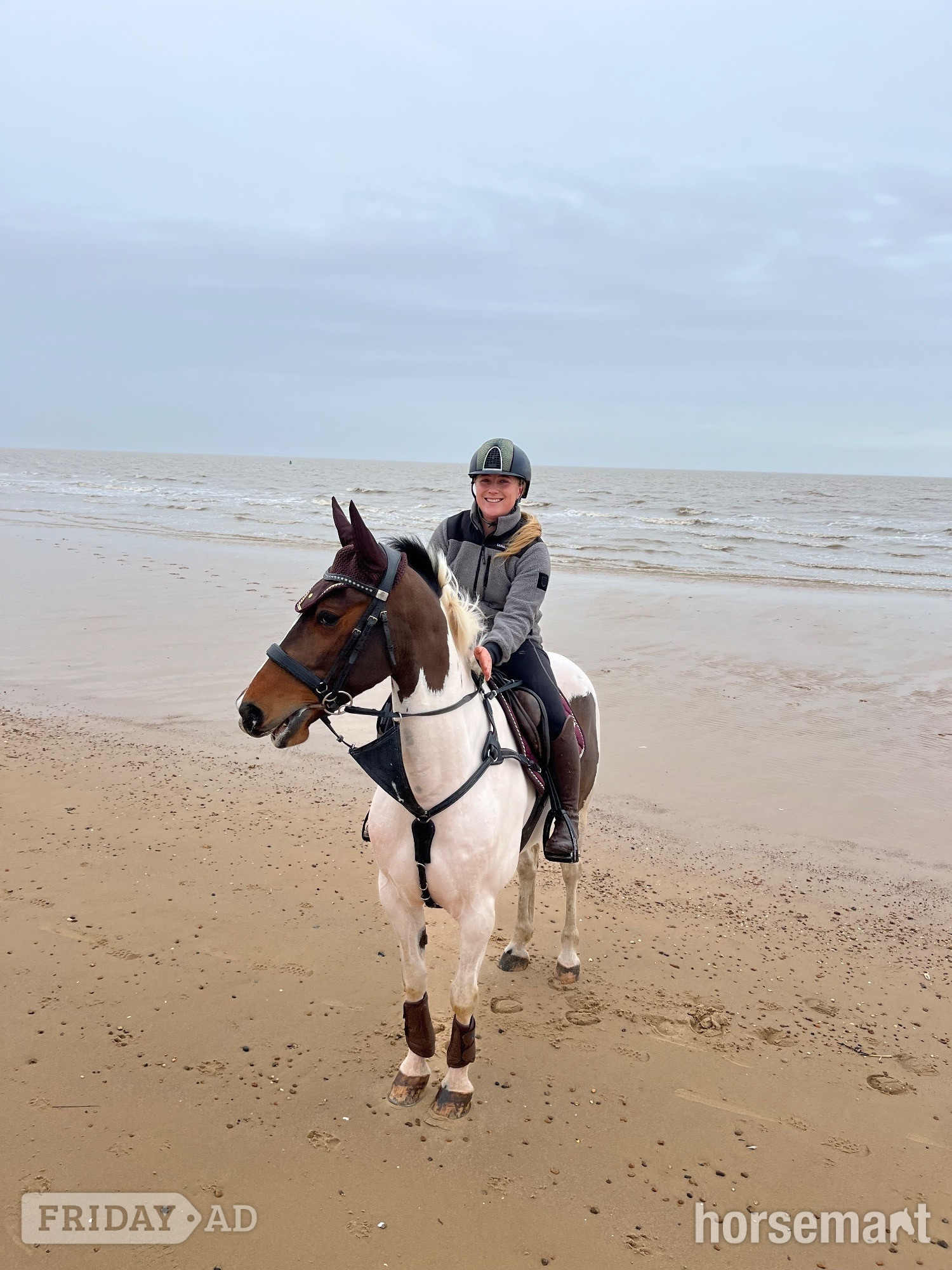 "Spirit" Skewbald Gelding All Rounder