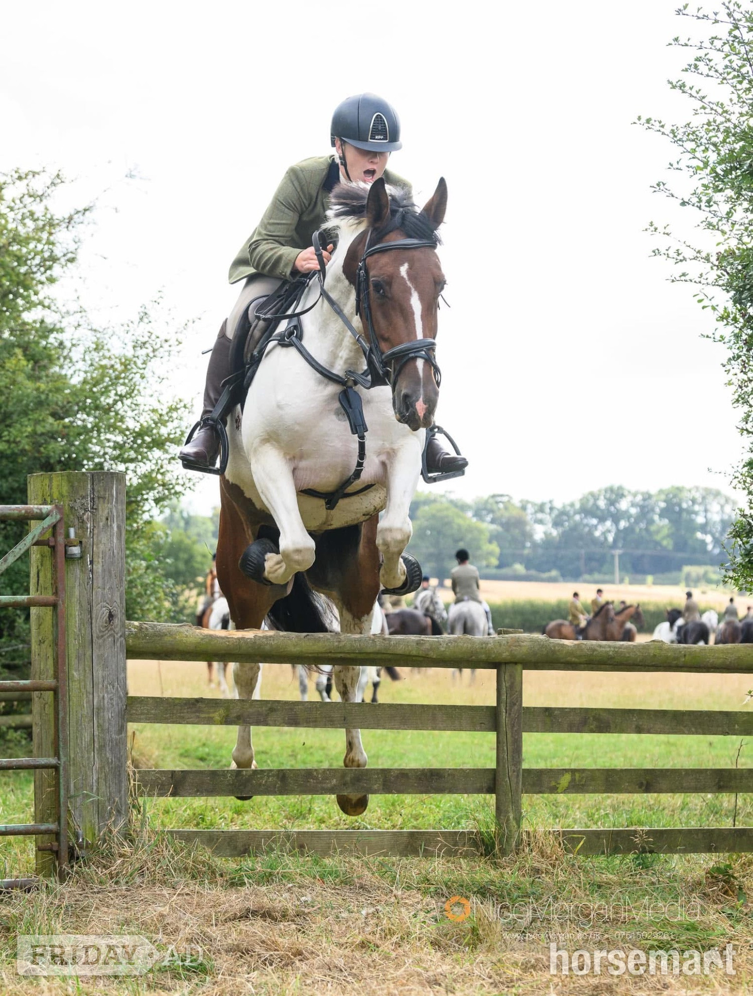 Colchester "Spirit" Skewbald Gelding All Rounder
