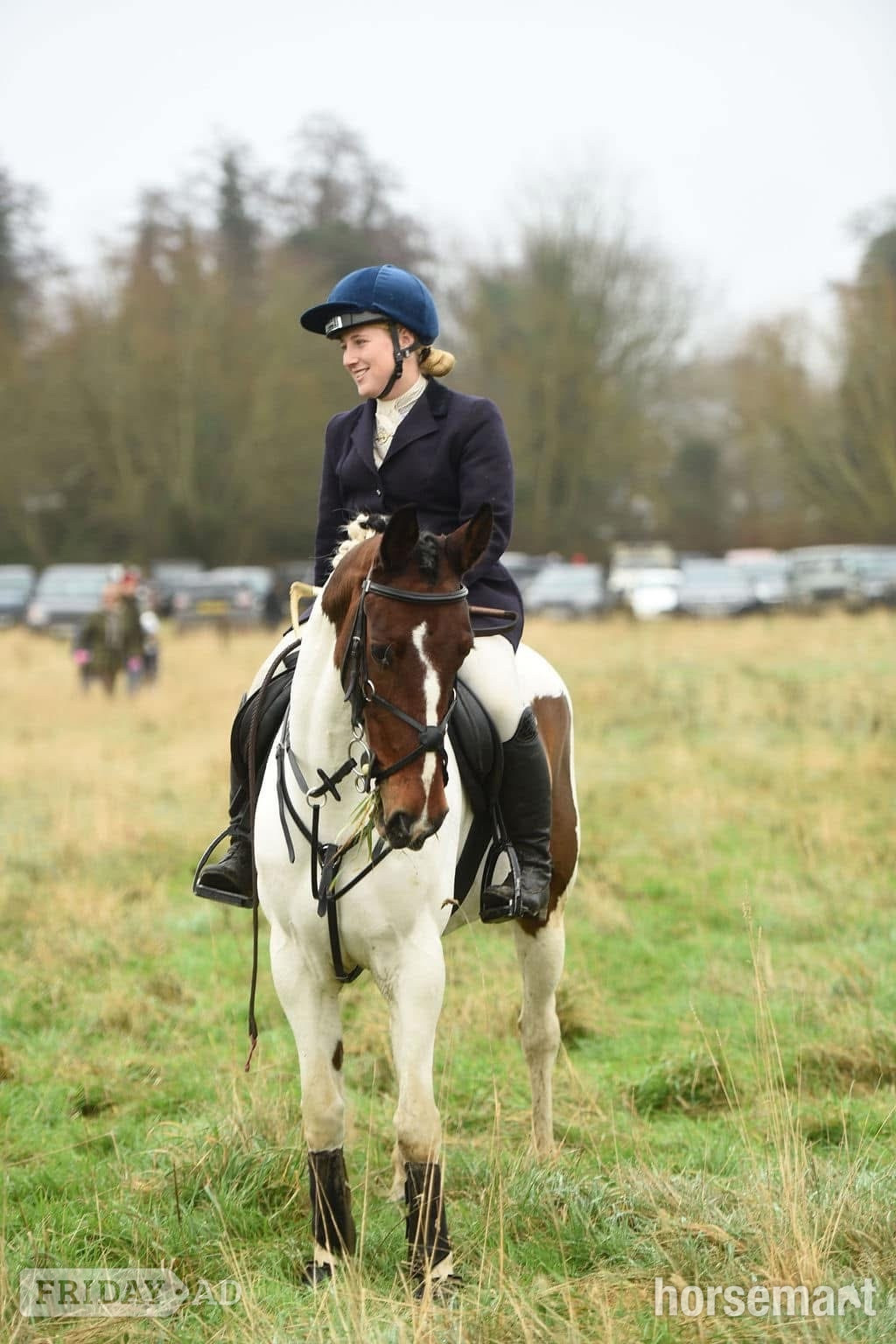 "Spirit" Skewbald Gelding All Rounder - Horses