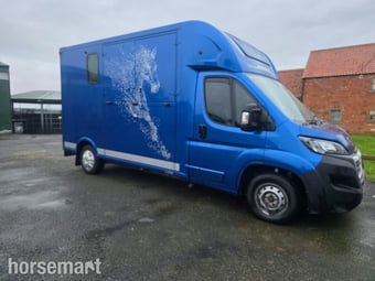 Theault Firsteo Peugeot Horsebox