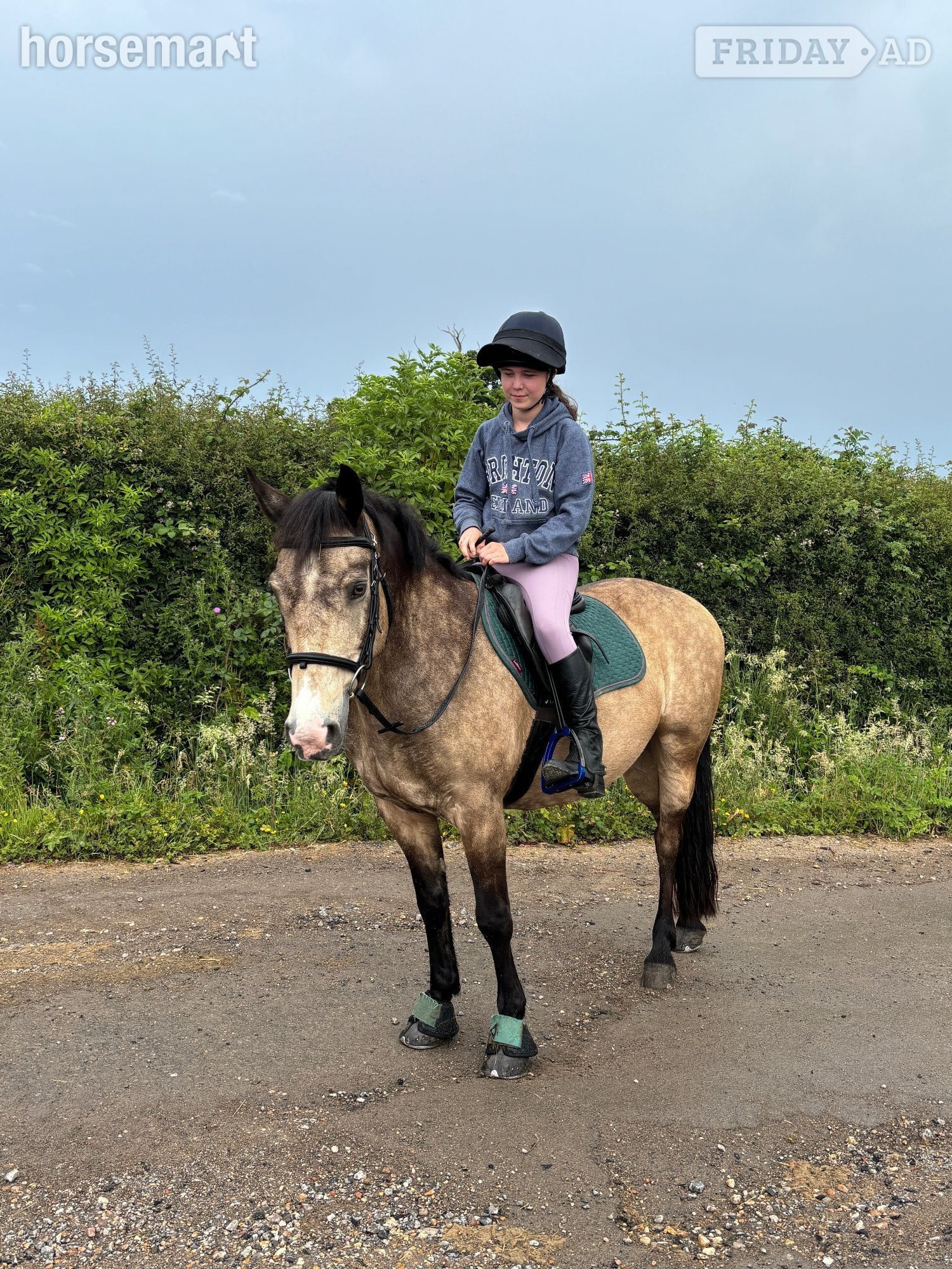 Haywards Heath Sharer for fun and forward 14.2 connie 2-3 days per week