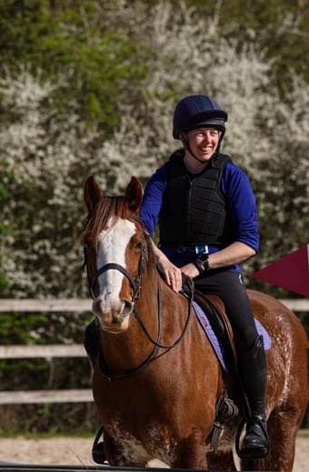 "Gwernfythen Sparkle" Chestnut Roan Gelding All Rounder