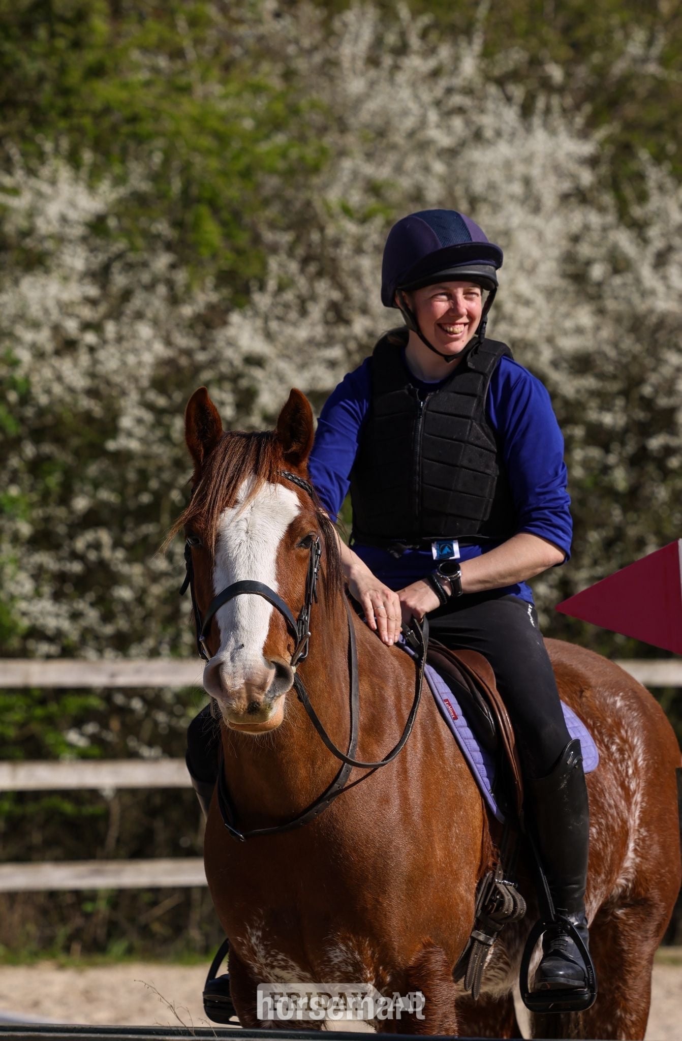 "Gwernfythen Sparkle" Chestnut Roan Gelding All Rounder in Cambridge