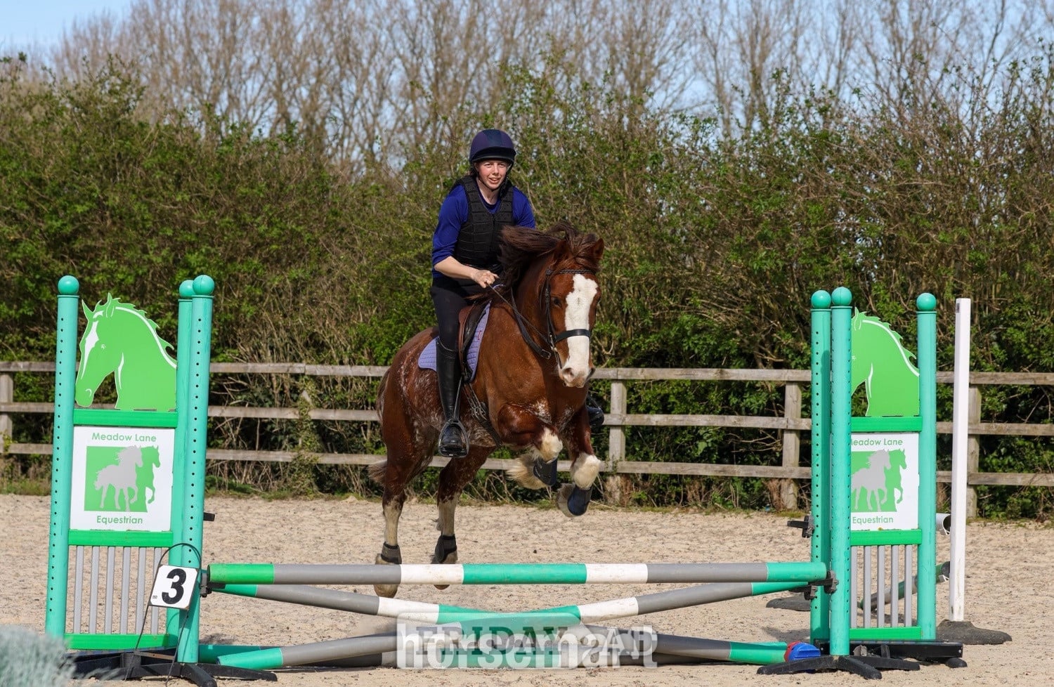 "Gwernfythen Sparkle" Chestnut Roan Gelding All Rounder - Horses in Cambridge