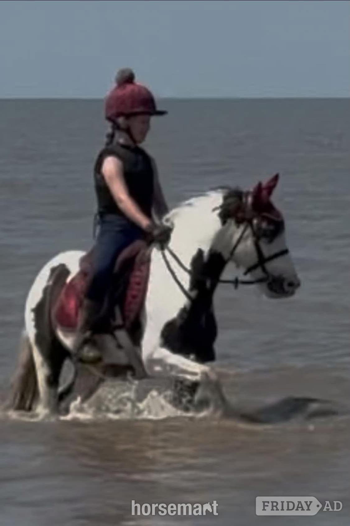 "marble" Blue &amp; White Mare All Rounder in Stourbridge